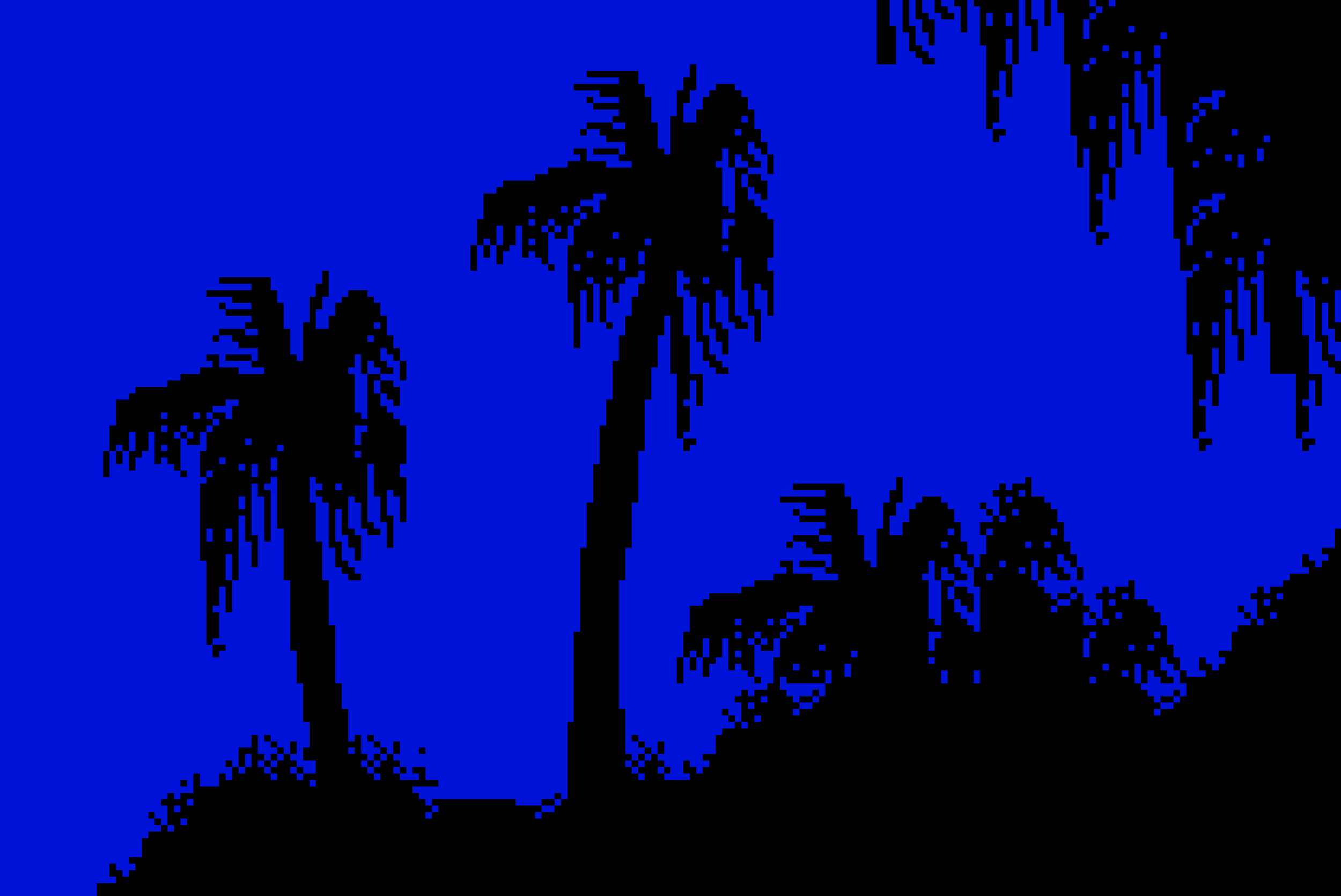 night palms.png