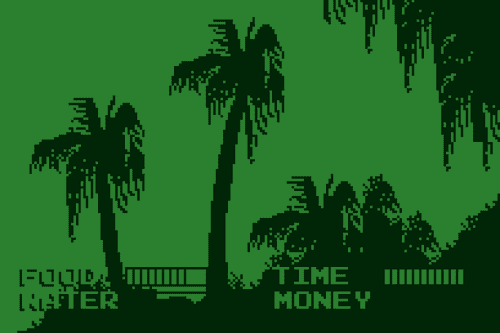 Casio Jungle
