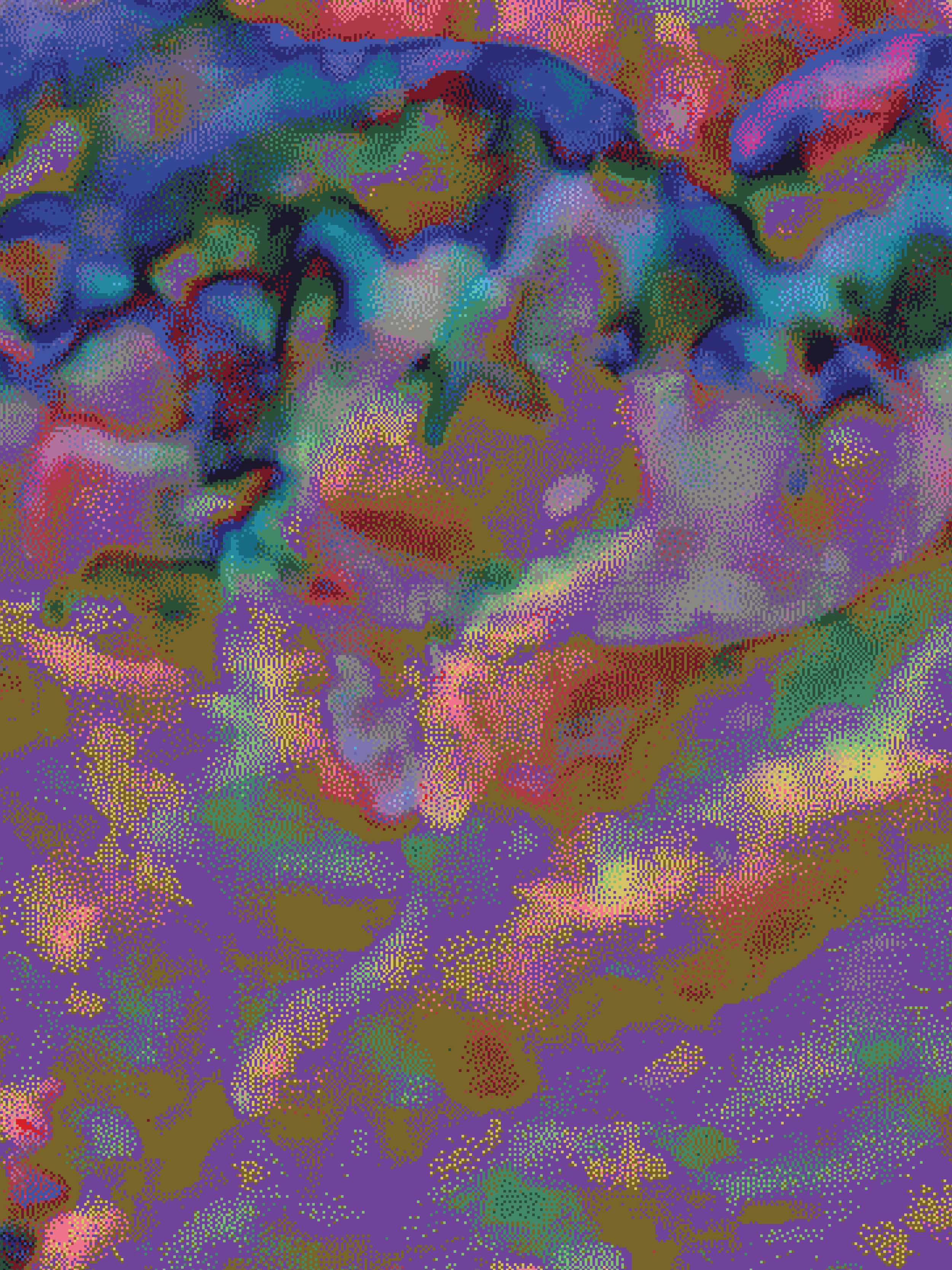 32x24x1.25in - coral 41.png