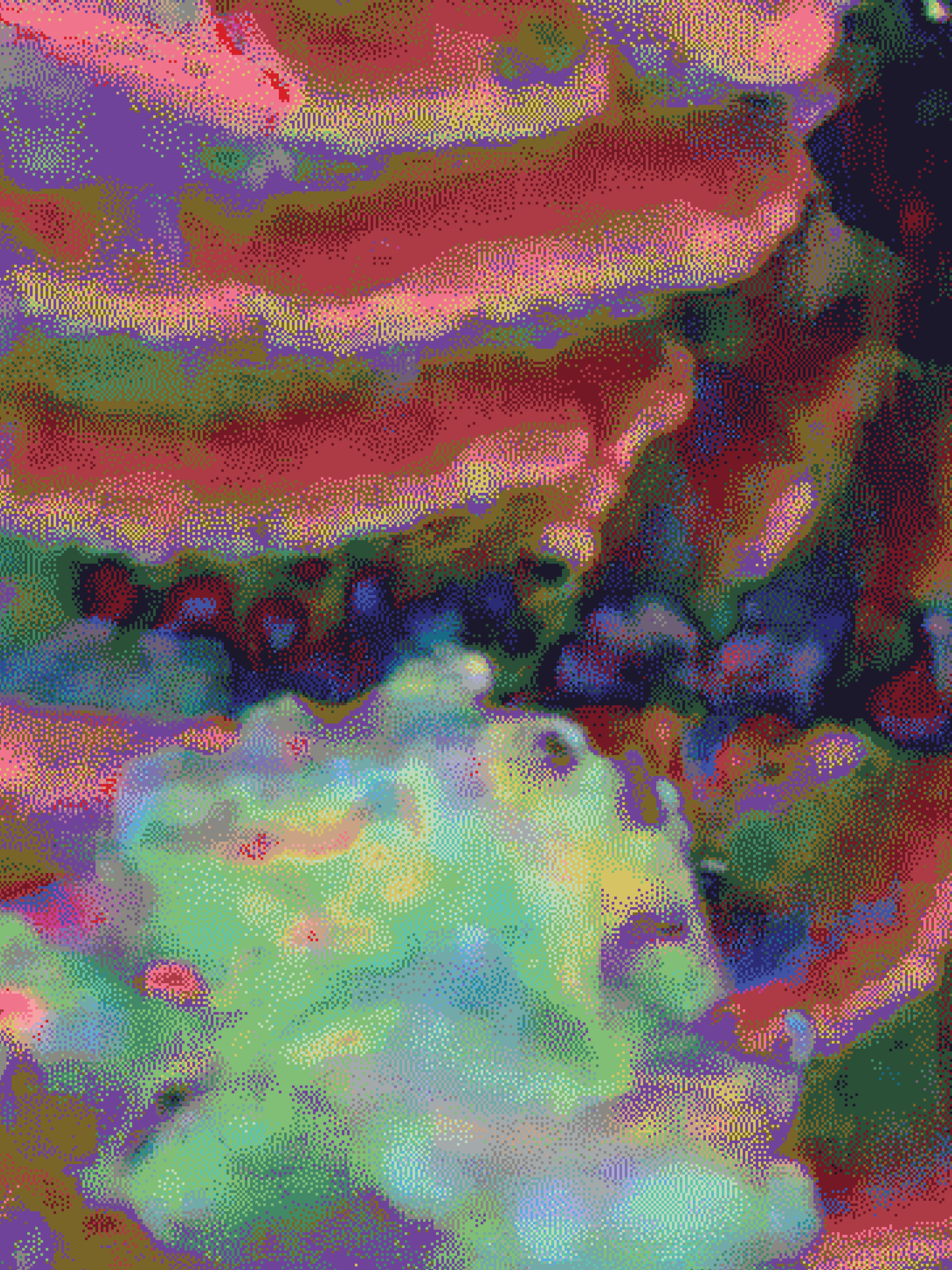 32x24x1.25in - coral 22.png