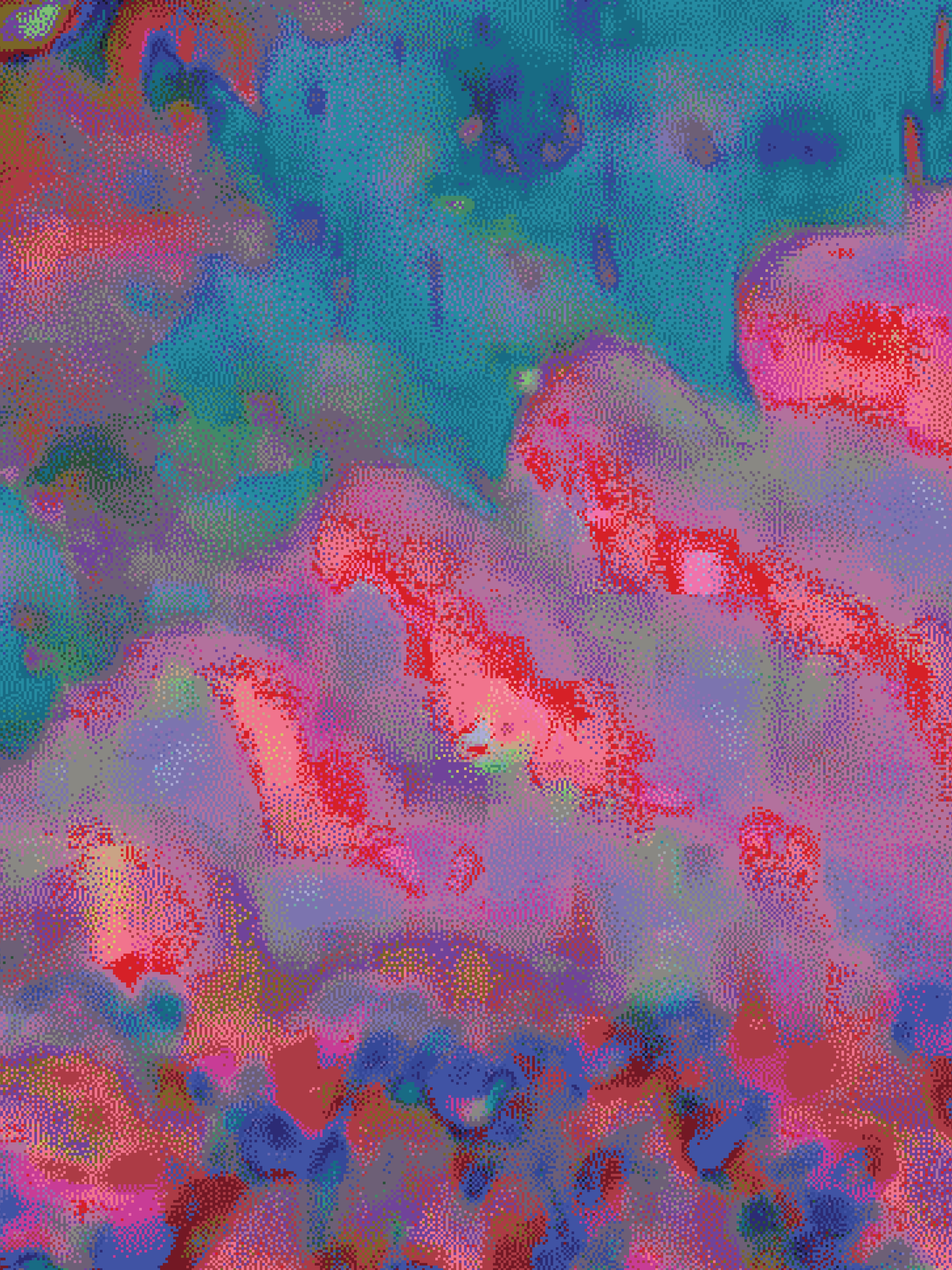 32x24x1.25in - coral 61.png