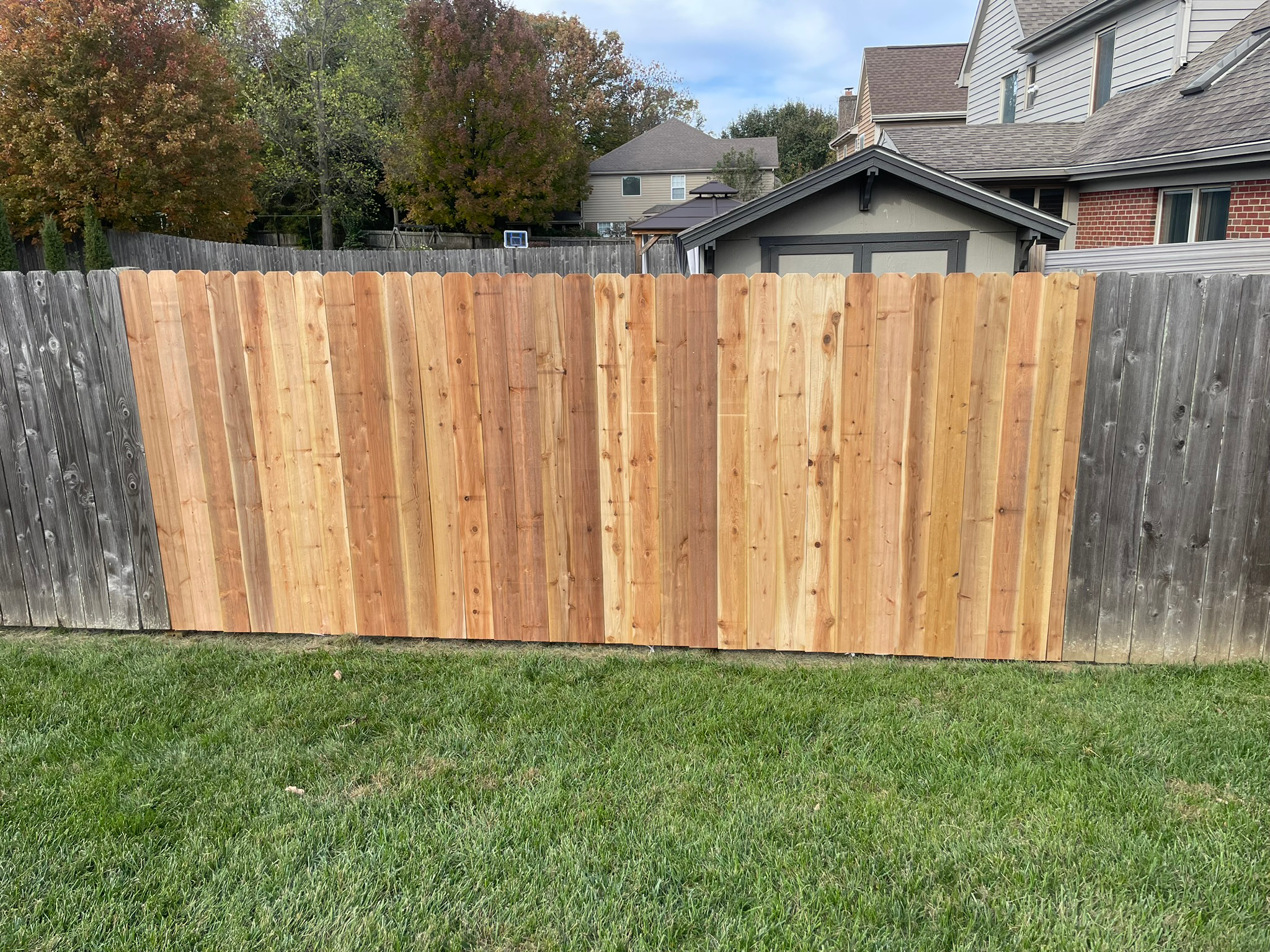 Fence Panel Replacement