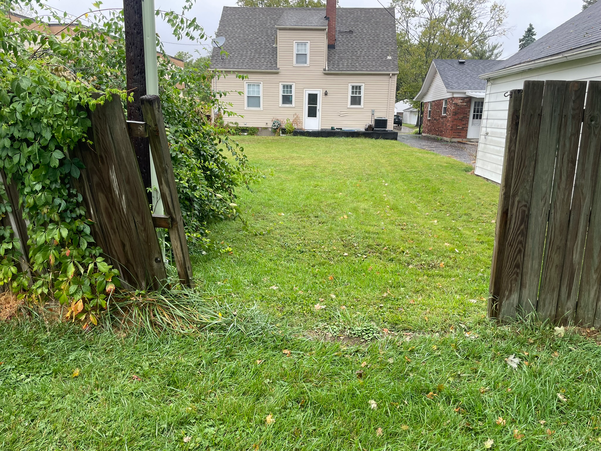 Fence Panel Replacement (Before)