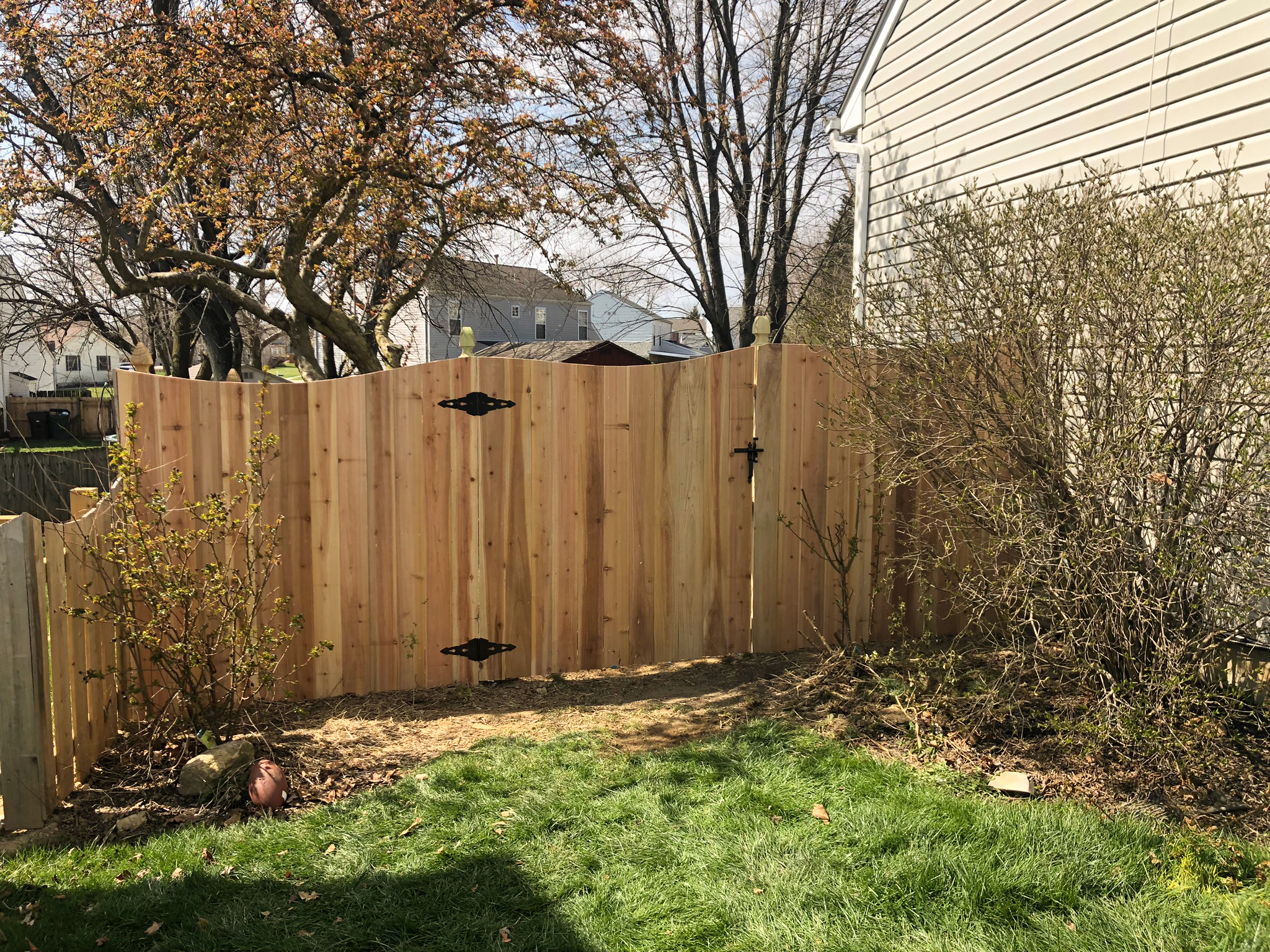 Privacy Fence and Gate