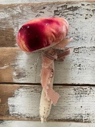 mush, coral - dark red dyed.jpg