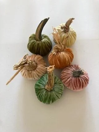 Velvet Pumpkins