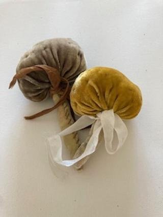 sm mushrrom with velvet stem 1.jpg