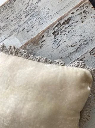 Silk Velvet Pillow