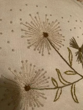 Embroidered Pillow
