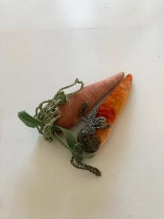 carrots 2 group.jpg