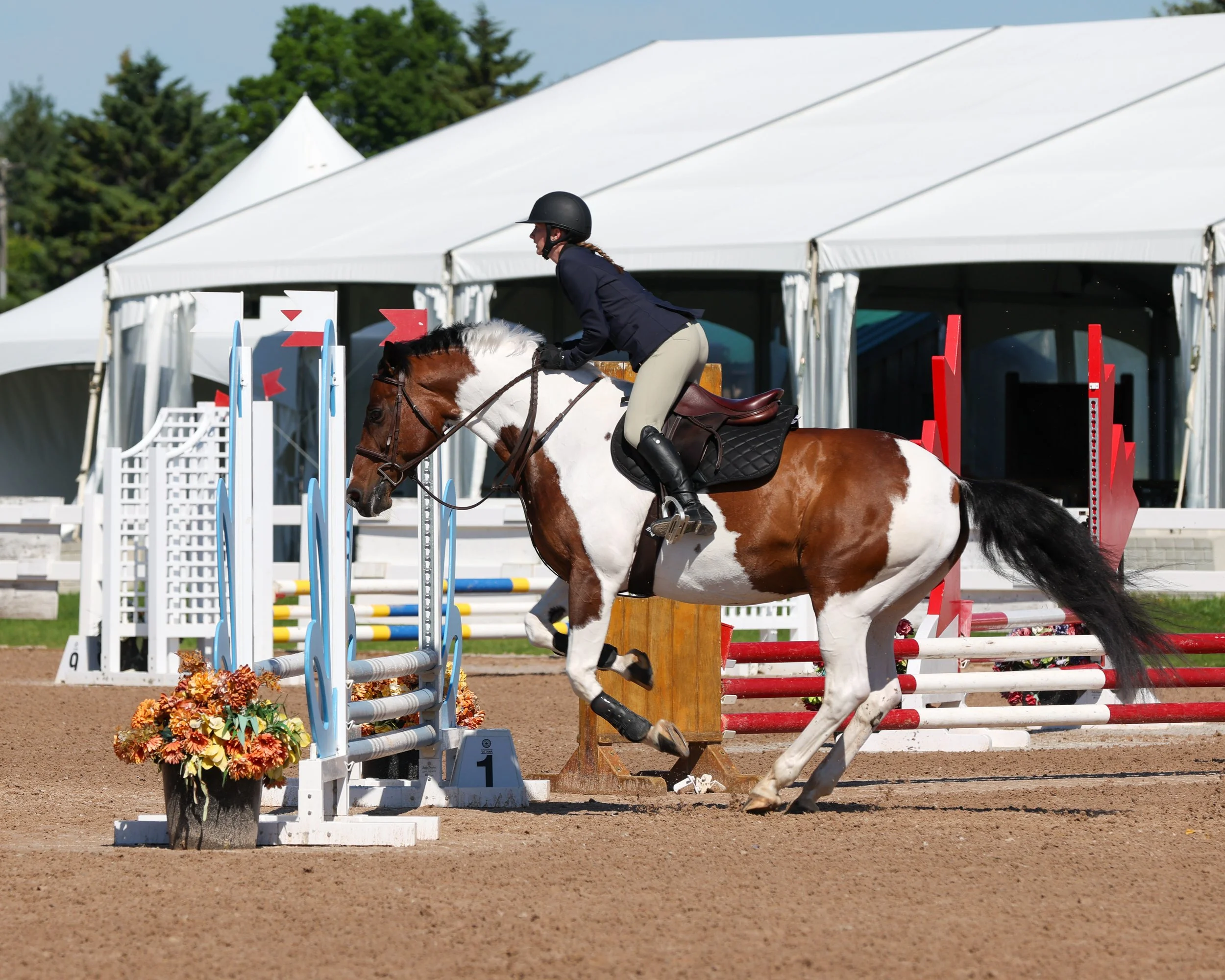 20260613_GaelicGlen_MichelleMcPhoto-133.jpg