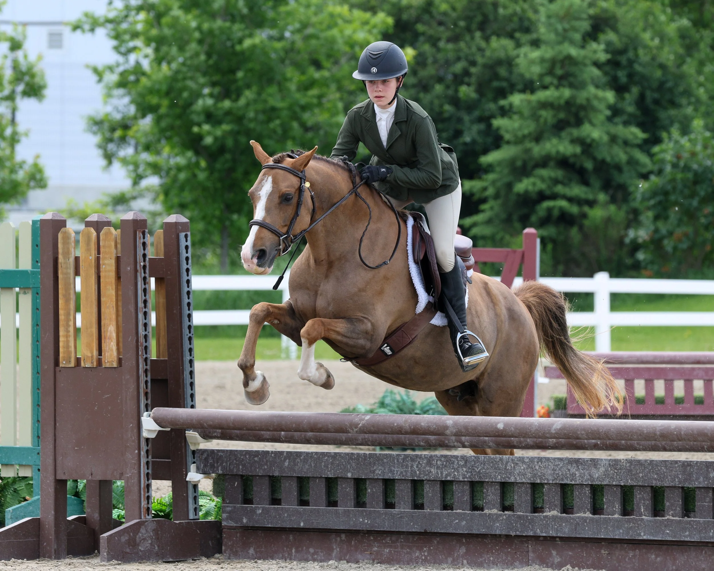 20260613_GaelicGlen_MichelleMcPhoto-107.jpg