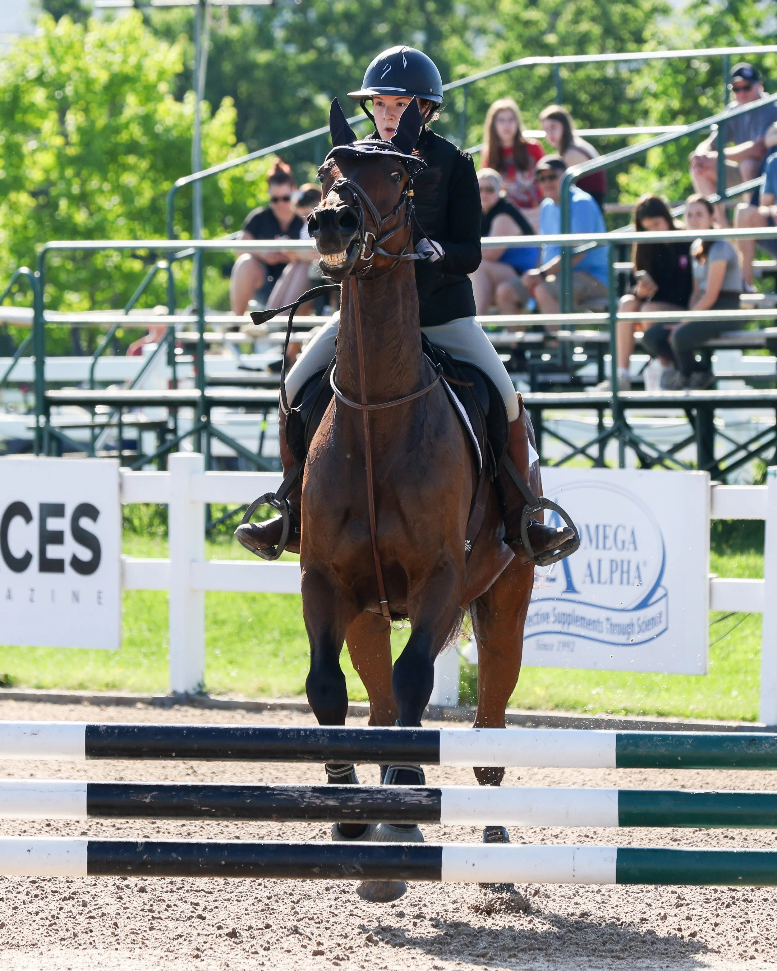 20260613_GaelicGlen_MichelleMcPhoto-183.jpg