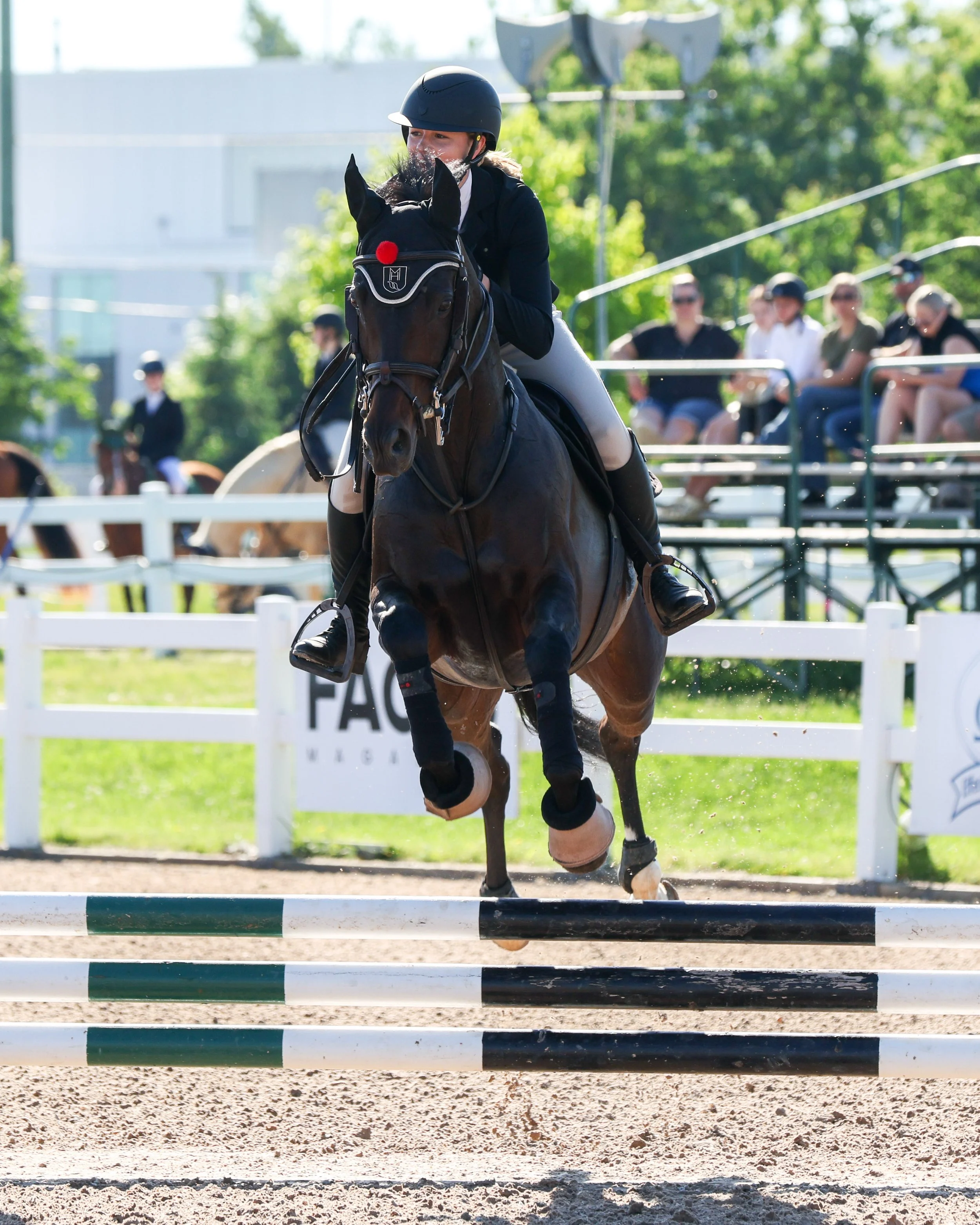 20260613_GaelicGlen_MichelleMcPhoto-177.jpg
