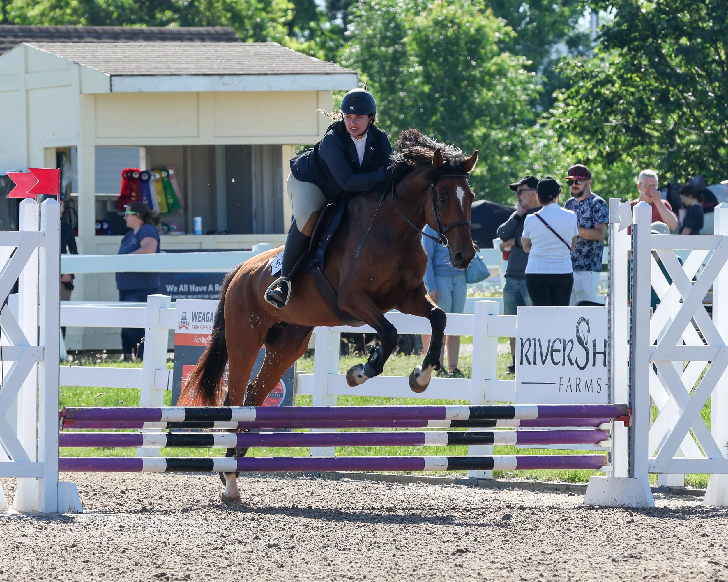 20260613_GaelicGlen_MichelleMcPhoto-176.jpg
