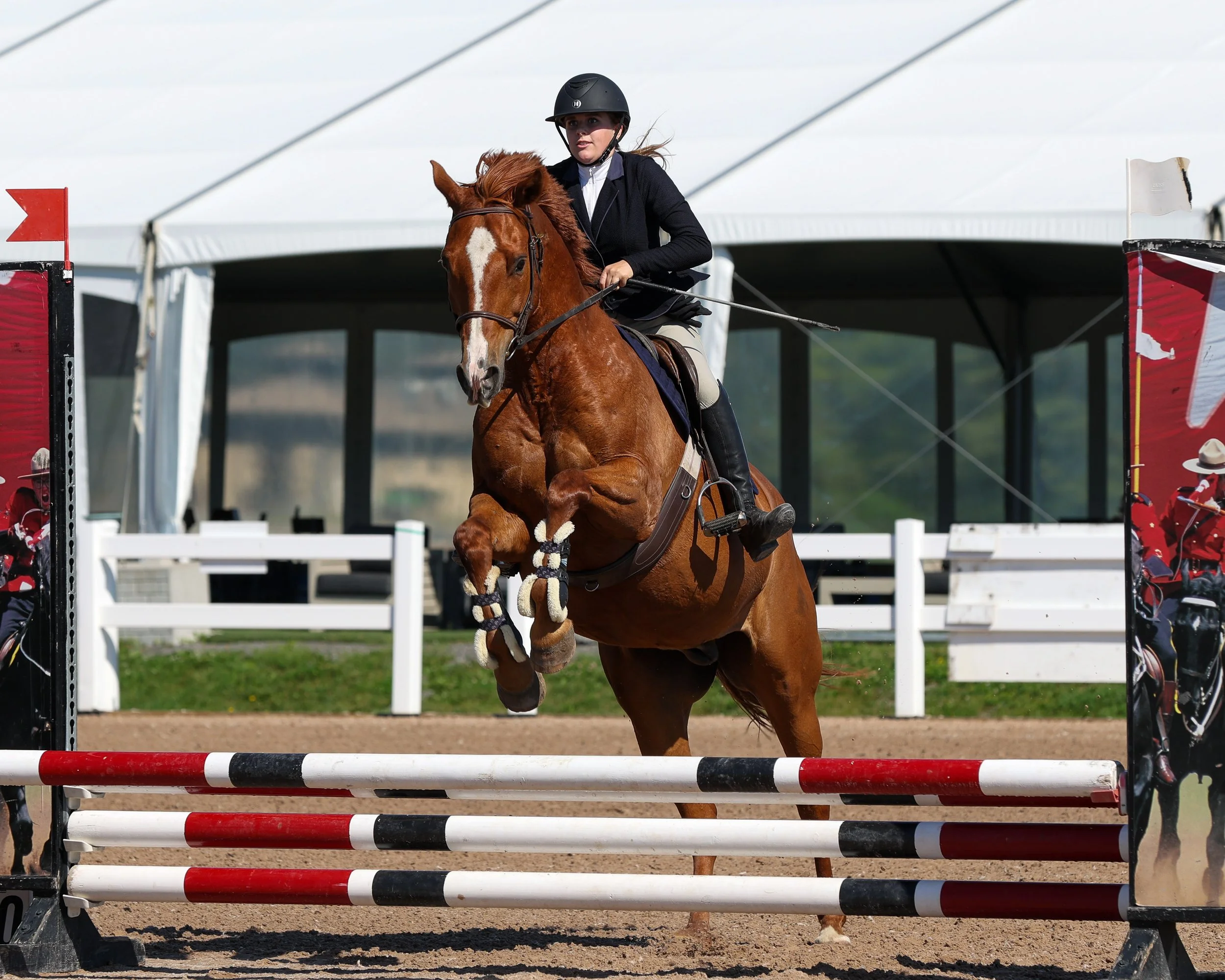 20260613_GaelicGlen_MichelleMcPhoto-148.jpg