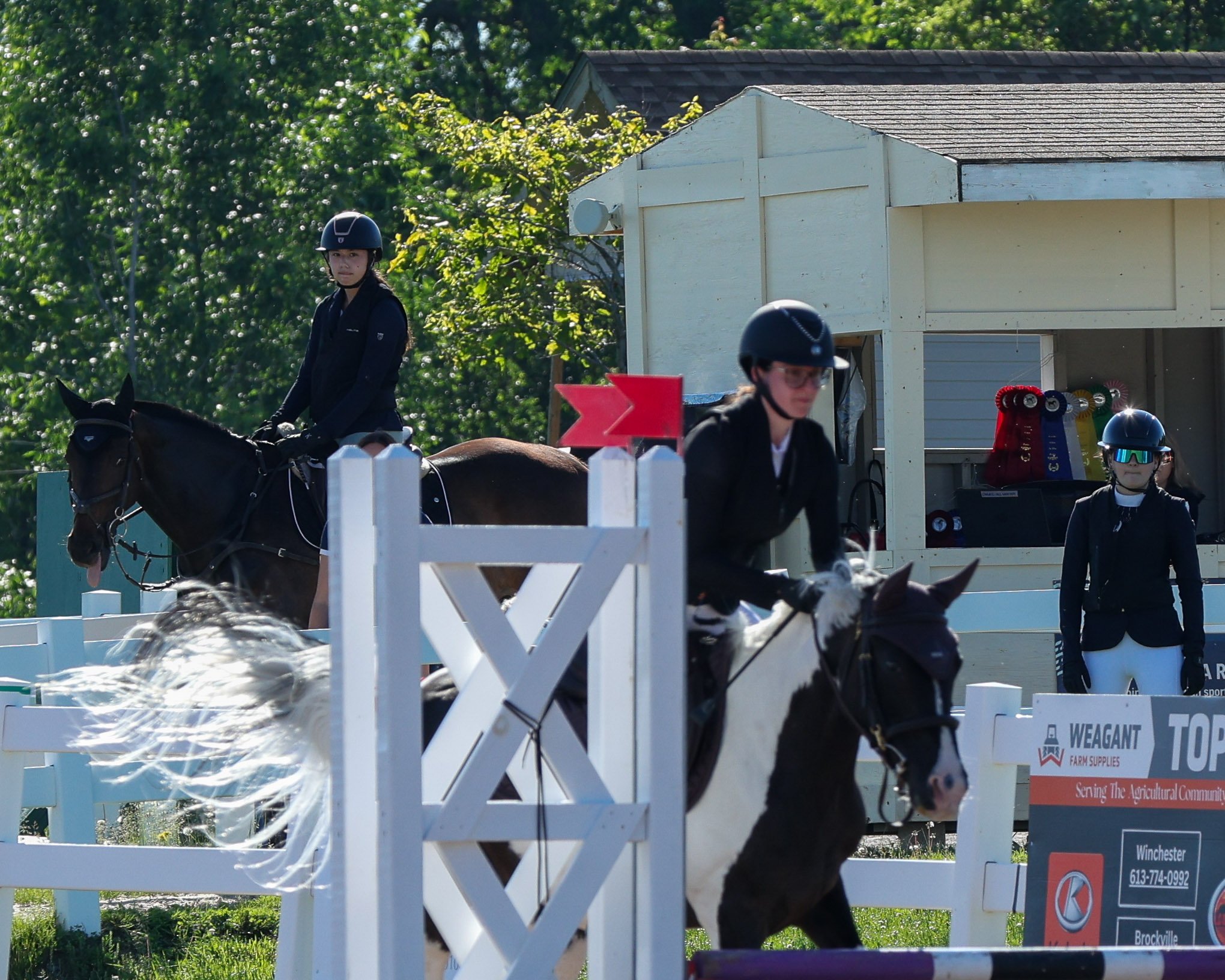 20260613_GaelicGlen_MichelleMcPhoto-185.jpg