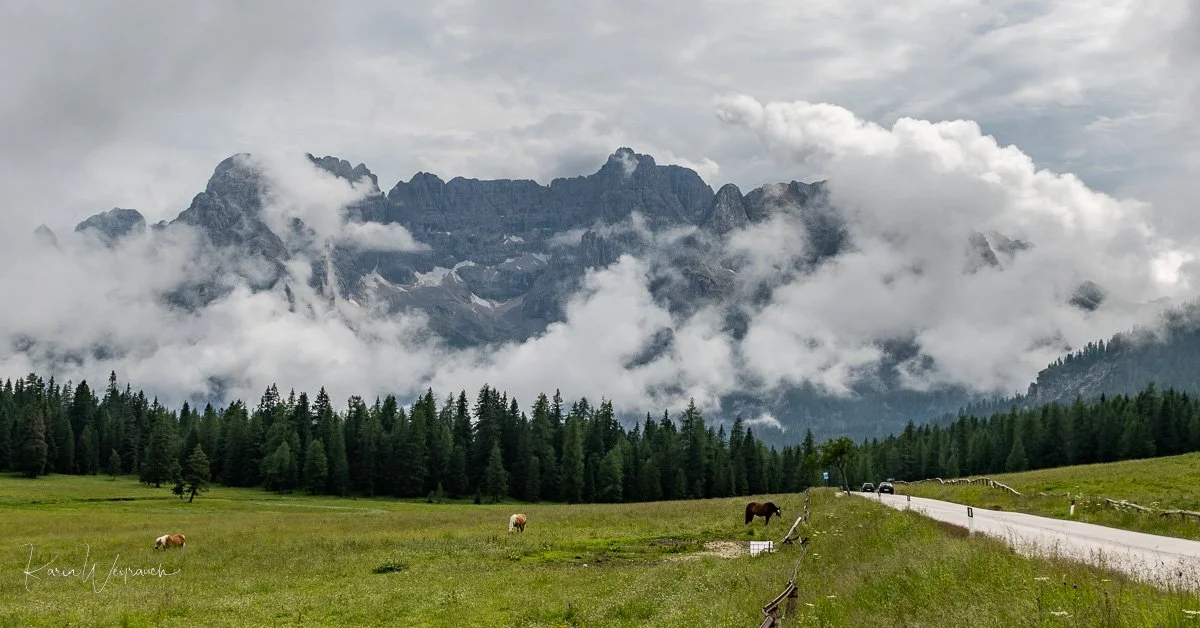 2022-06-29 Ref 5 Torres KCW3055.jpg