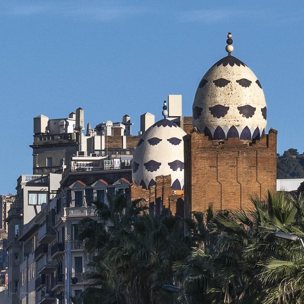 2025-03-30 BCN Paseo Temprano  KCW2514.jpg