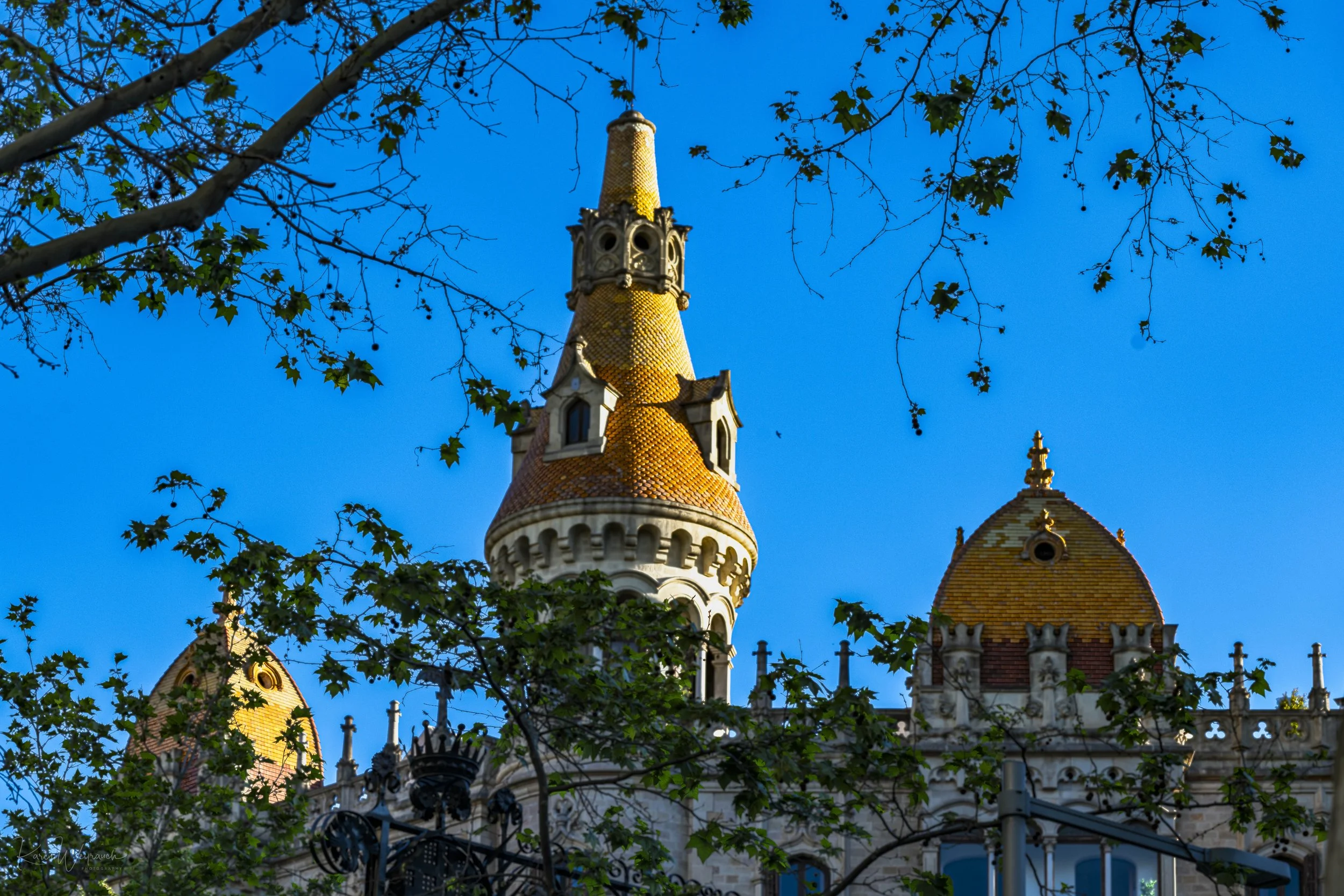 2025-04-20 BCN Cupulas   KCW2969.jpg