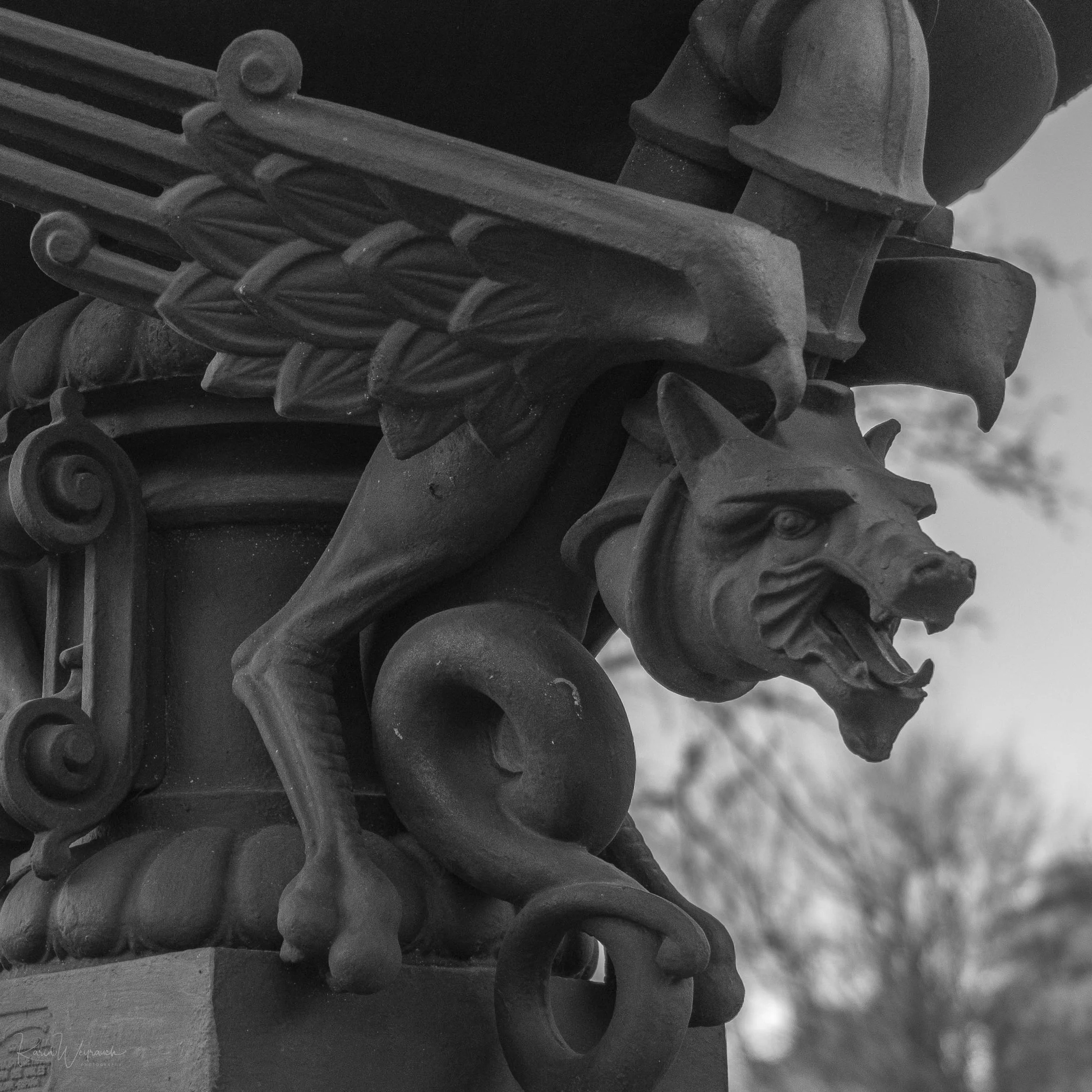 2025-03-30 BCN Paseo Temprano  KCW2453.jpg