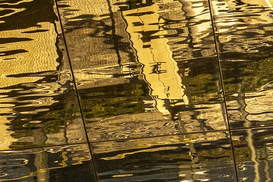 2025-03-30 BCN Paseo Temprano  KCW2565.jpg