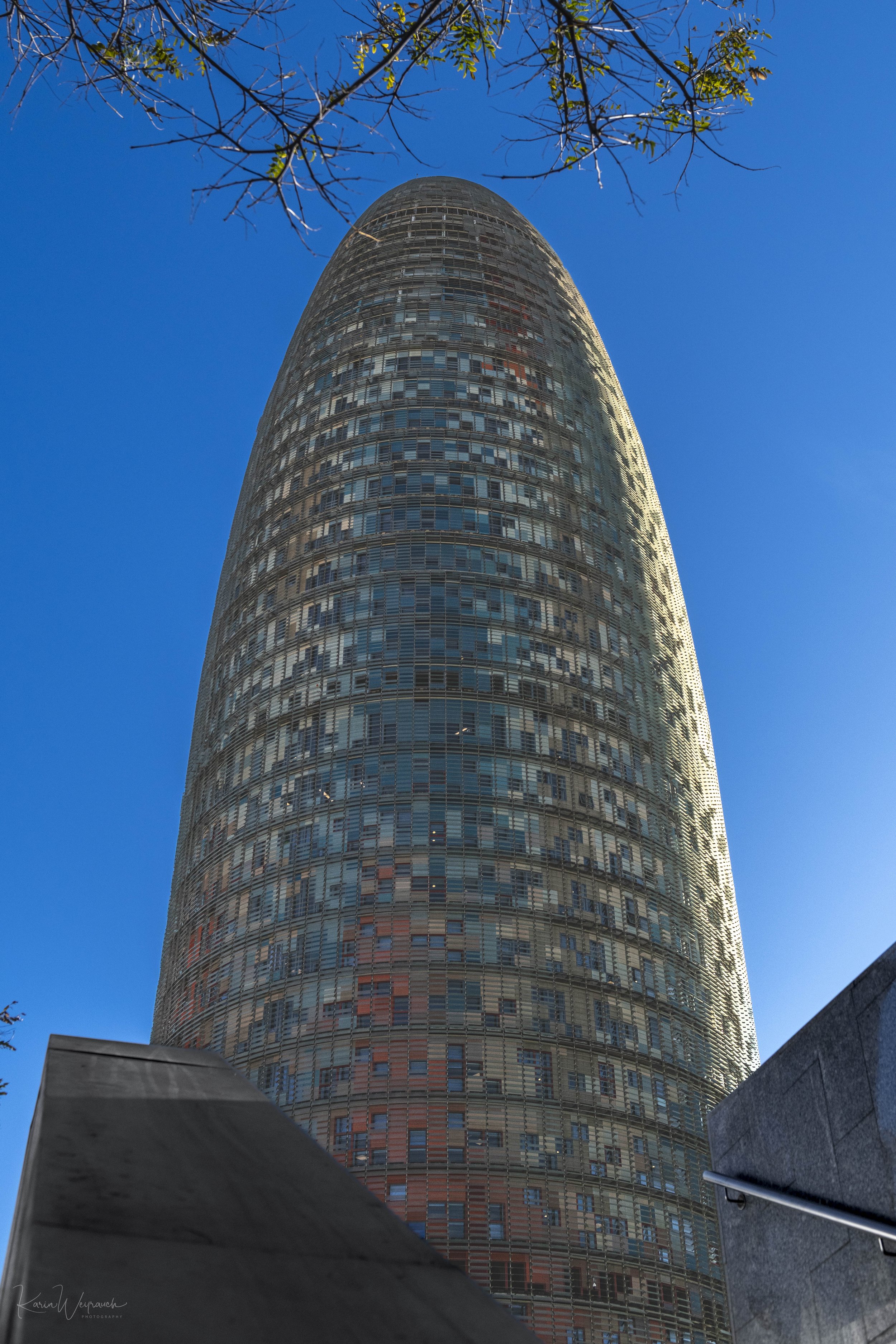 2025-03-30 BCN Paseo Temprano  KCW2577.jpg