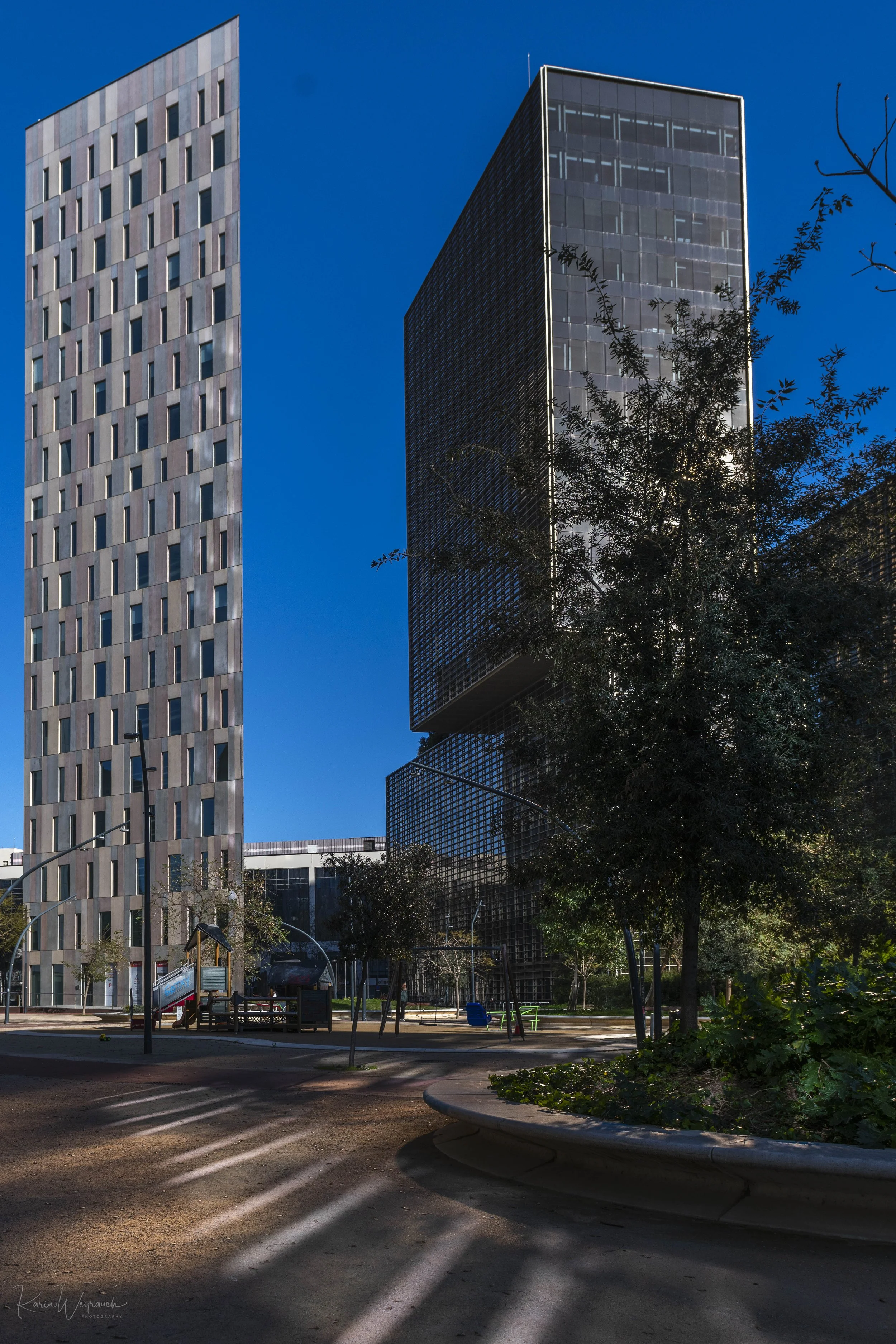 2025-03-30 BCN Paseo Temprano  KCW2602.jpg