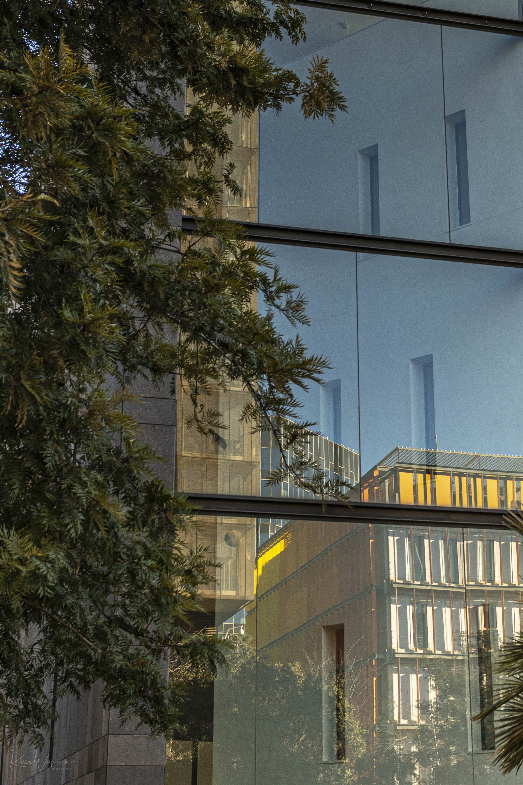 2025-03-30 BCN Paseo Temprano  KCW2628.jpg