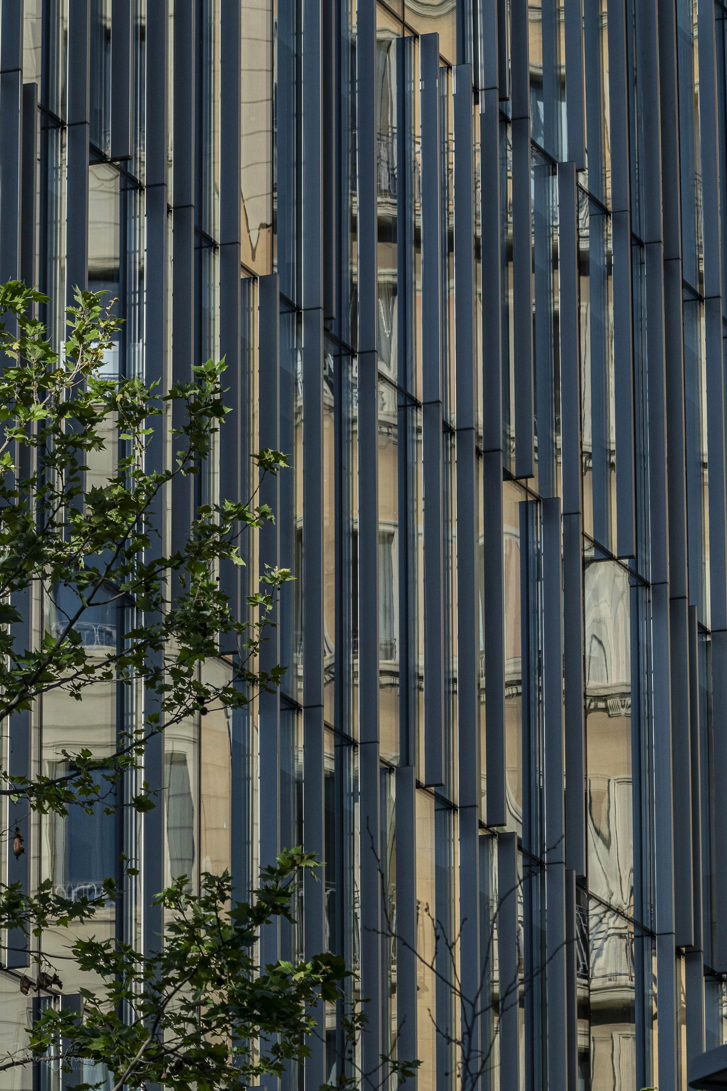 2025-04-20 BCN Cupulas   KCW3051.jpg