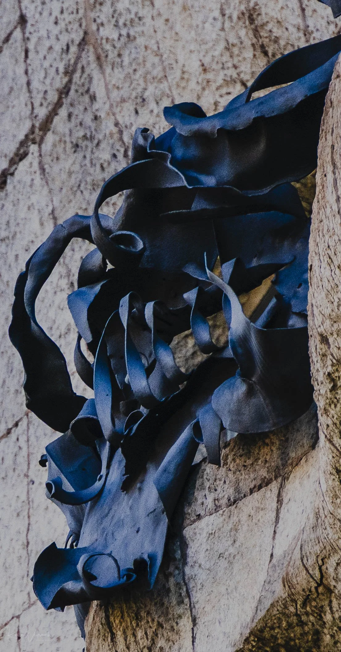 2025-04-20 BCN Cupulas   KCW3056.jpg