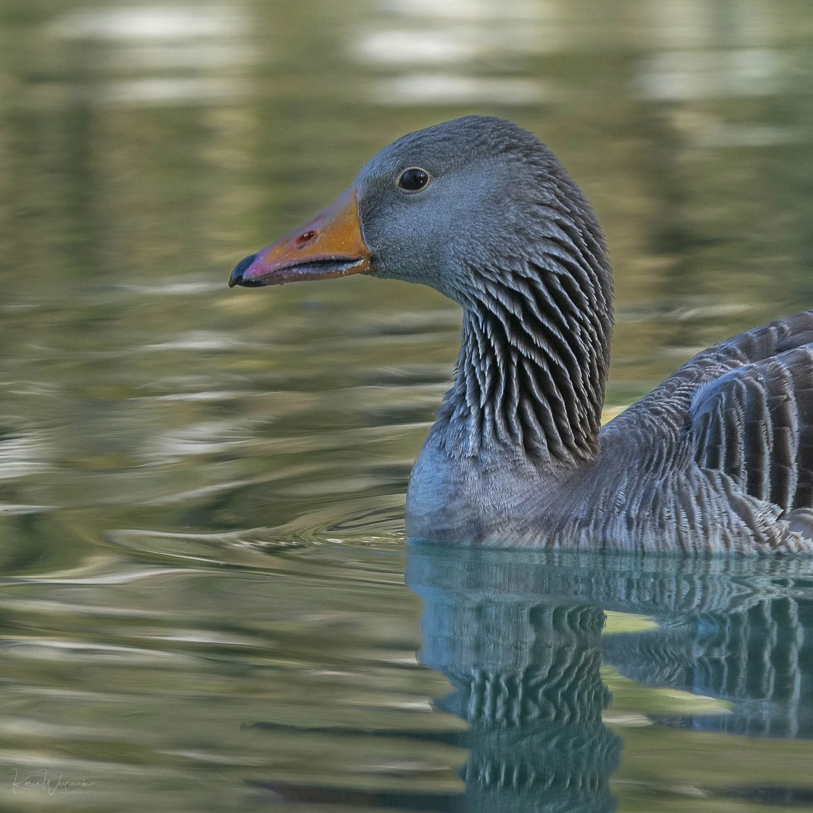 2025-04-22 BCN Barrio Gotico y Born  KCW3194.jpg