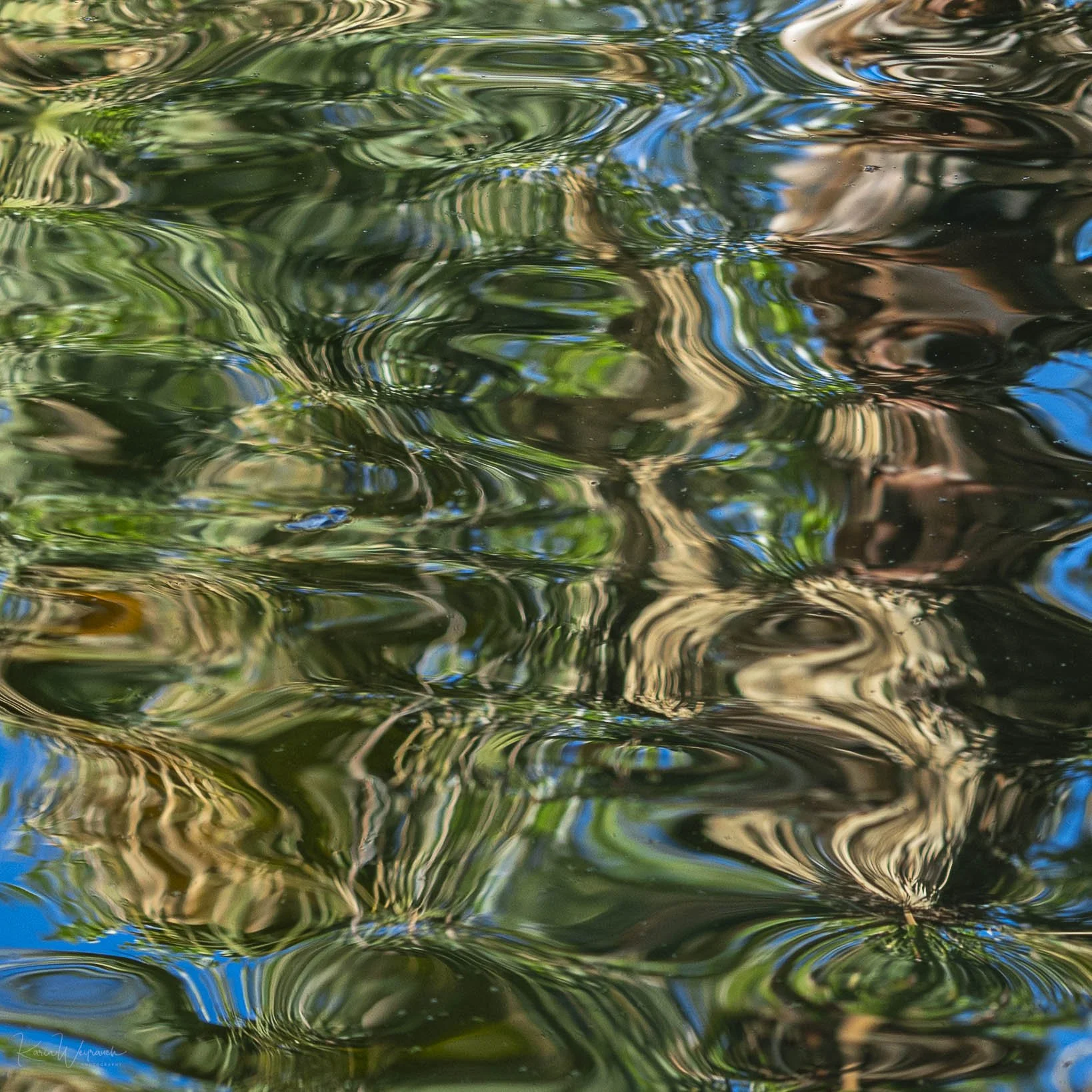 2025-04-22 BCN Barrio Gotico y Born  KCW3201.jpg