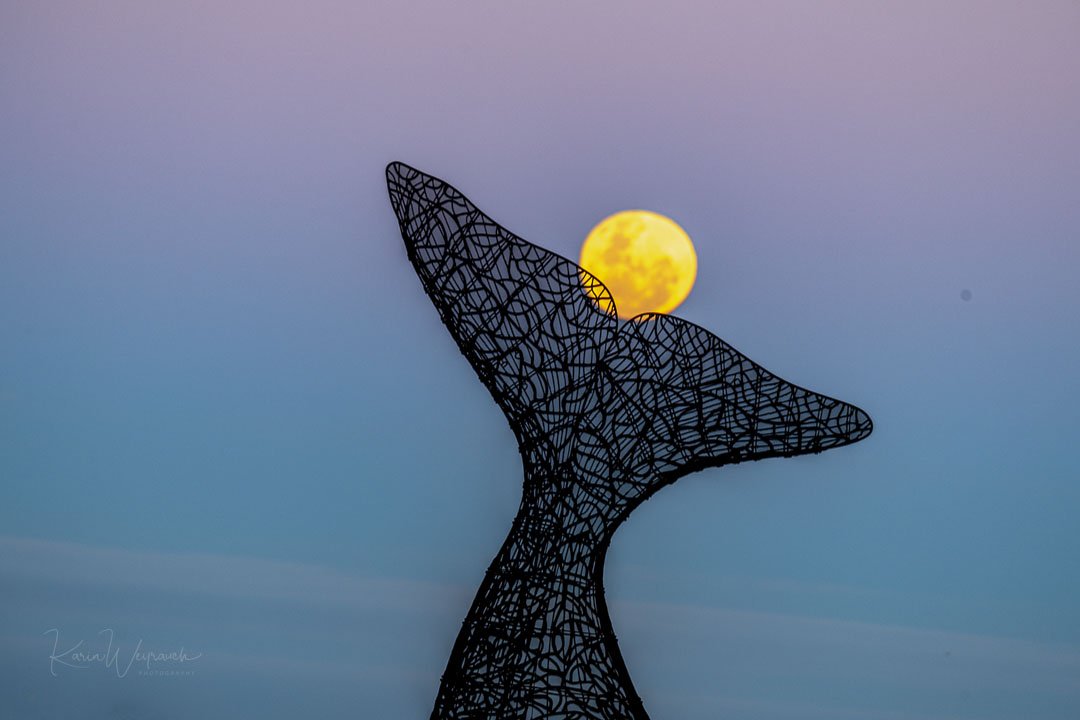 2025-07-10 PdE Luna llena3901-Editar.jpg