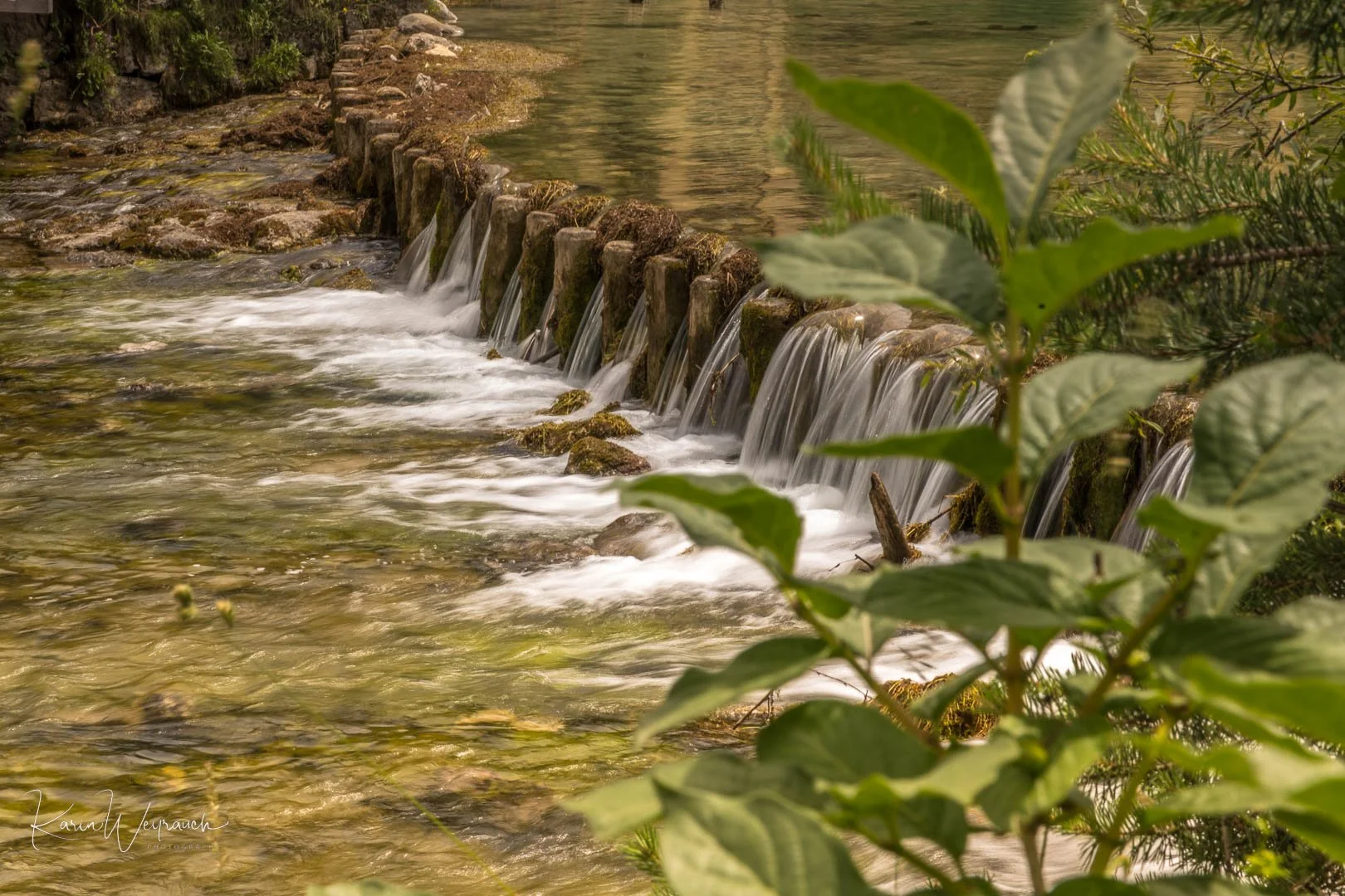 2022-06-28 Lagos Cortina KCW2812.jpg