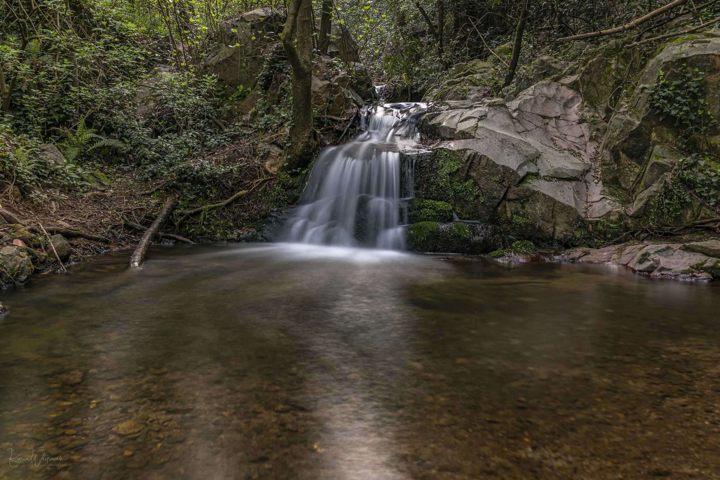 2025-04-06 BCN Figaro-Montmany  KCW2866.jpg