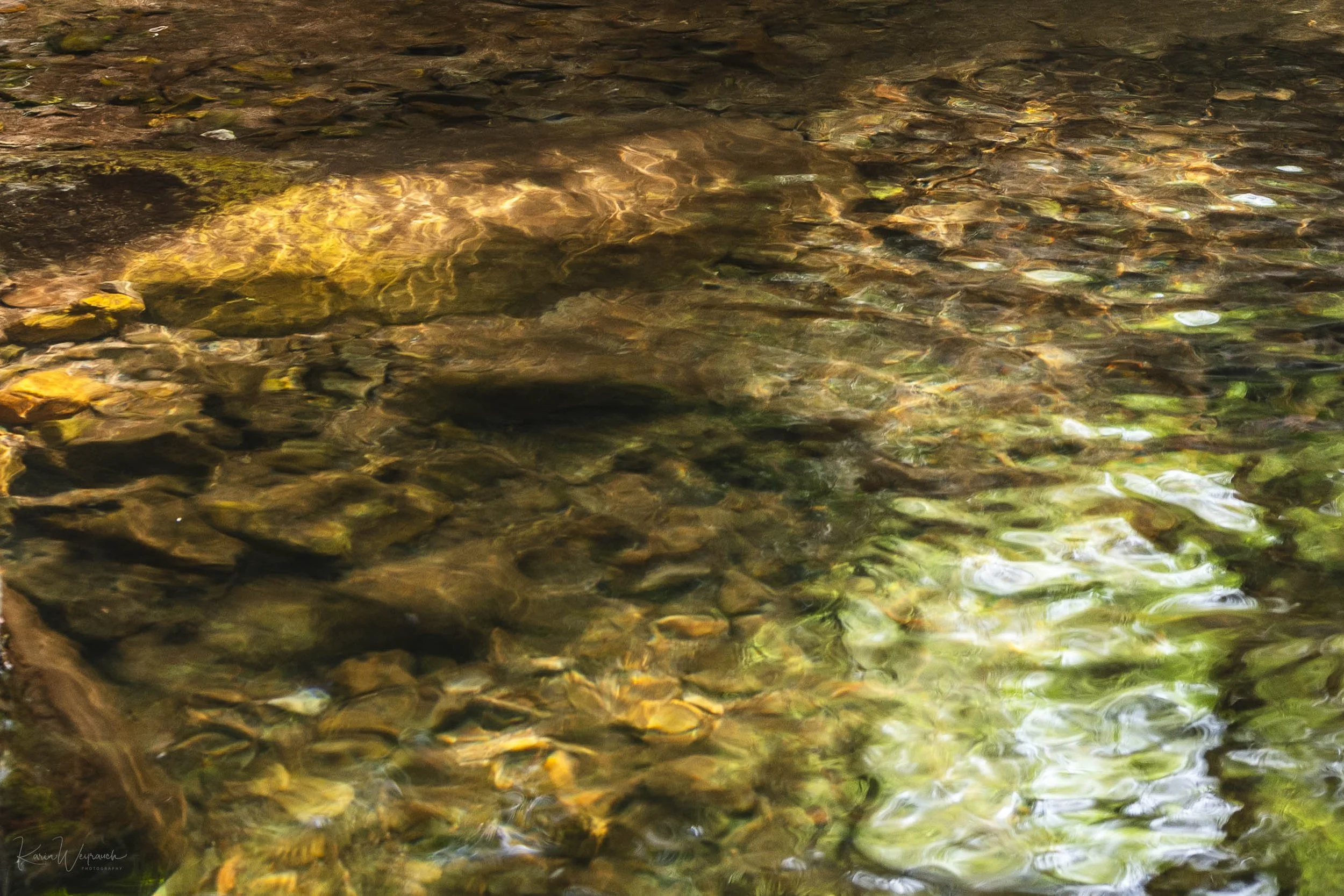 2025-04-06 BCN Figaro-Montmany  KCW2903.jpg