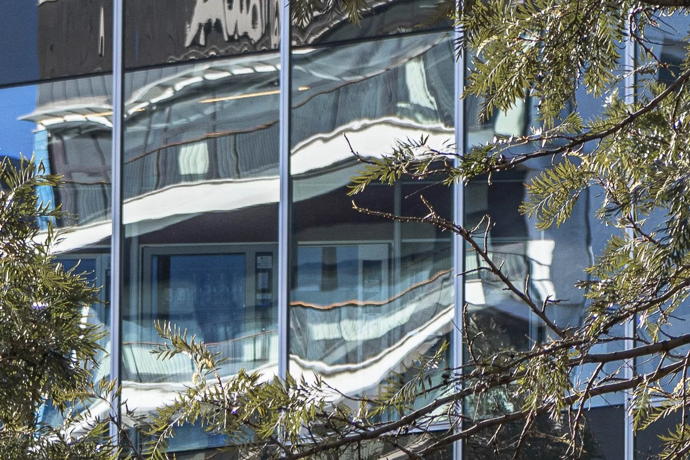 2025-03-30 BCN Paseo Temprano  KCW2620.jpg