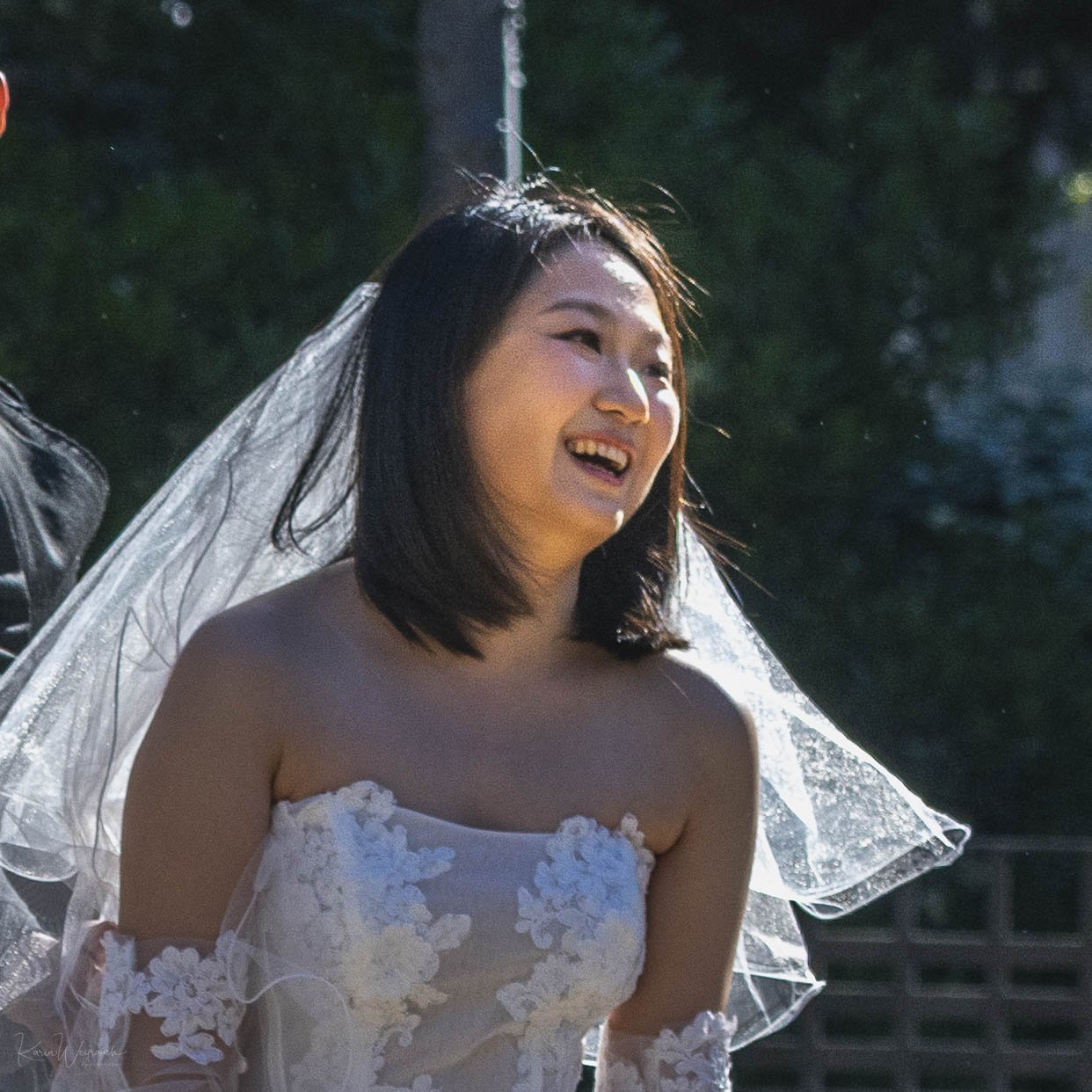 2025-04-20 BCN Cupulas   KCW3116.jpg