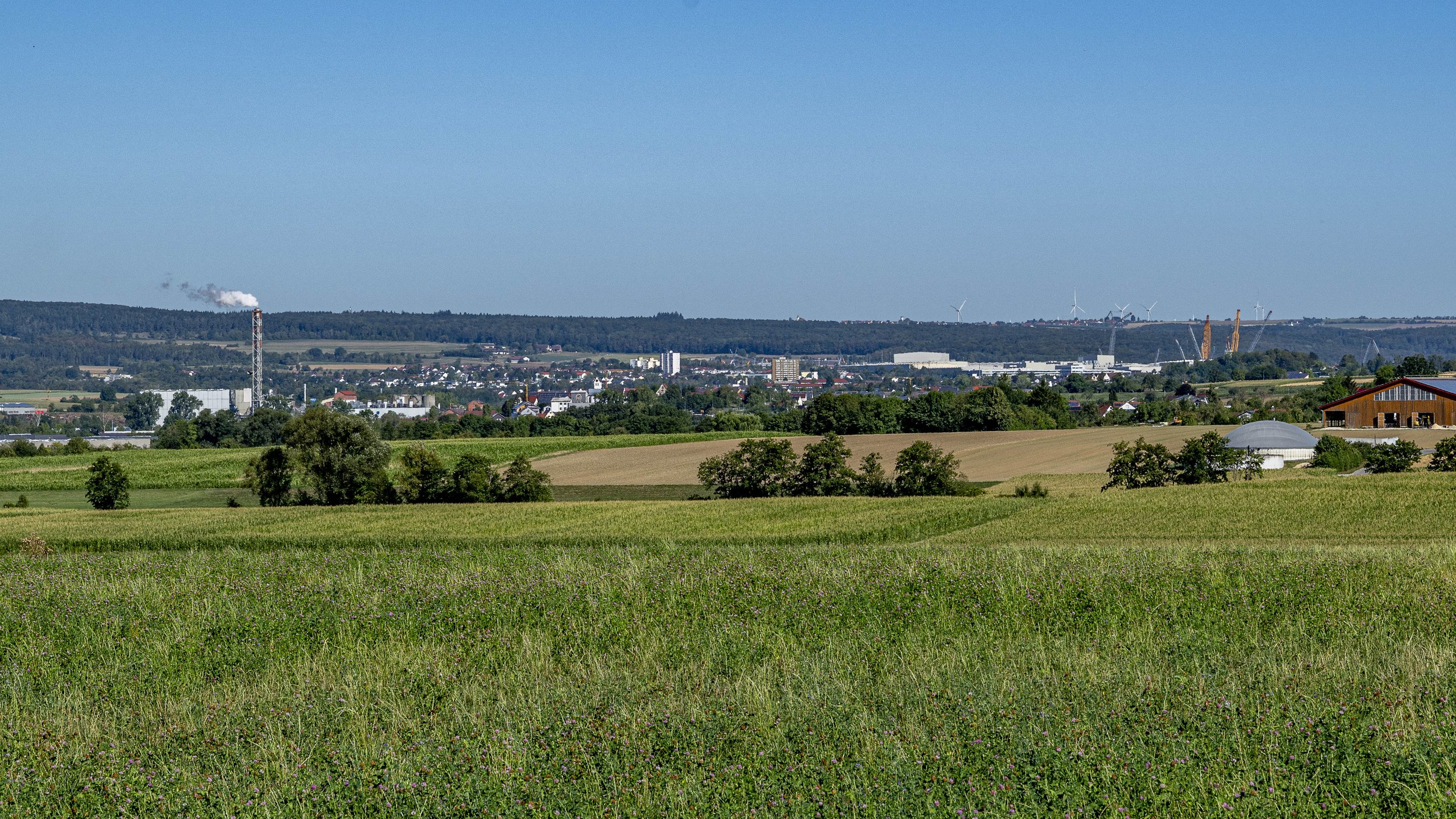 01 2026-08-13 Schaiblishausen Land  KCW1118.jpg
