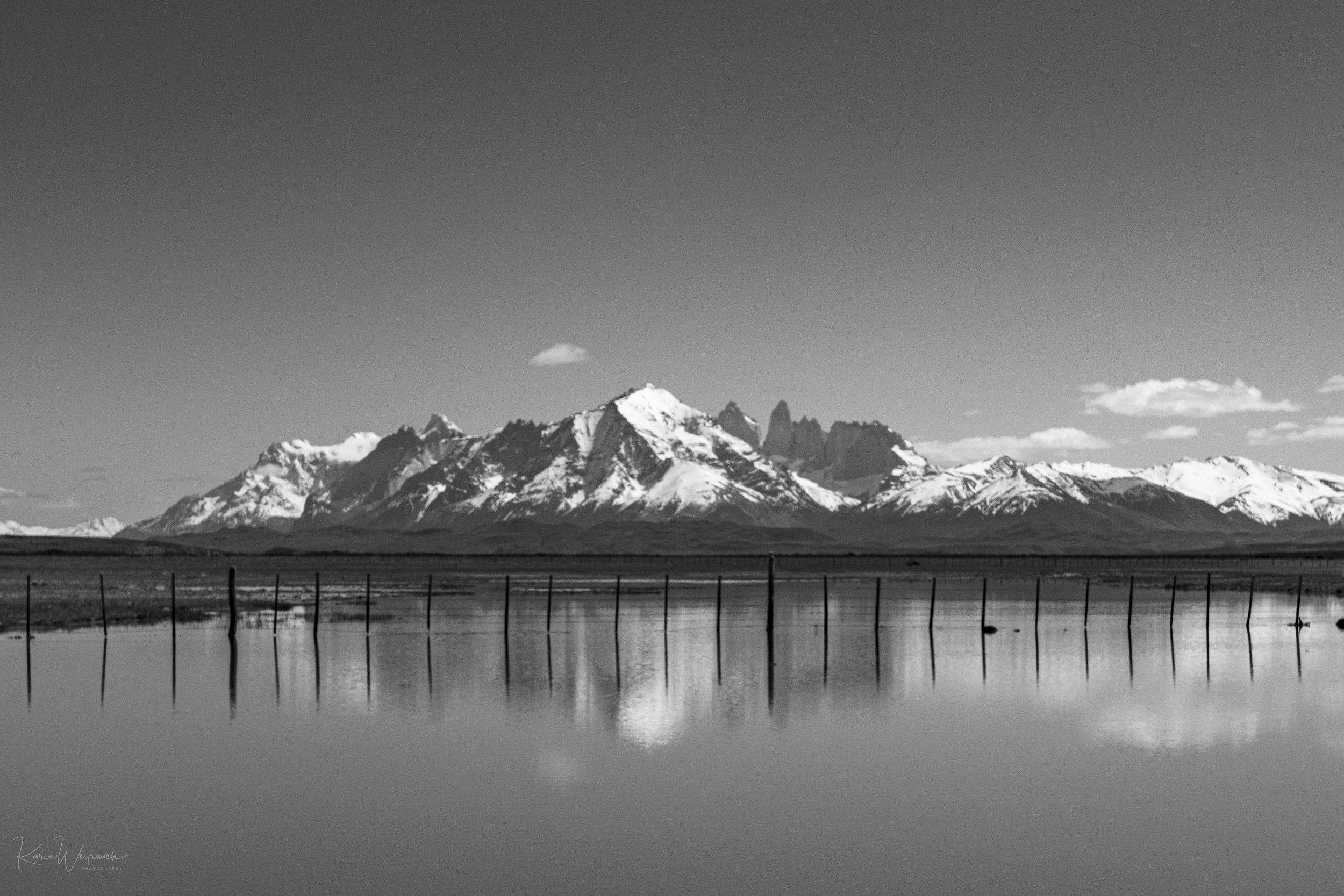 2025-06-28 Chile Torres Paine   KCW5337.jpg