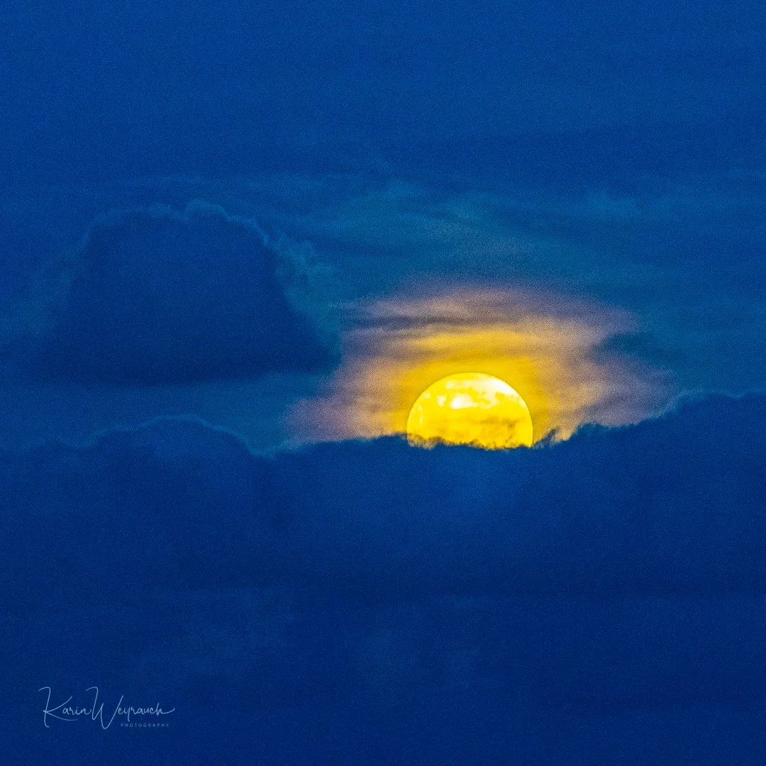 2024-03-22 PdE Luna llena  KCW8156.jpg