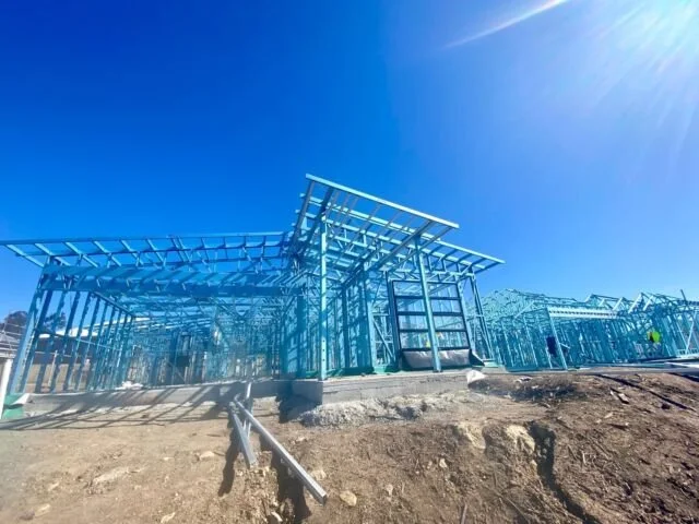 Panelized Walls and Roof 