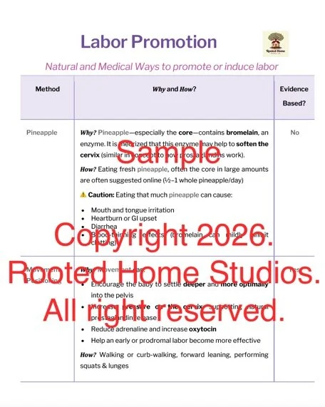 Labor Promotion and Medical Induction Guide (by Rooted Home Studios)