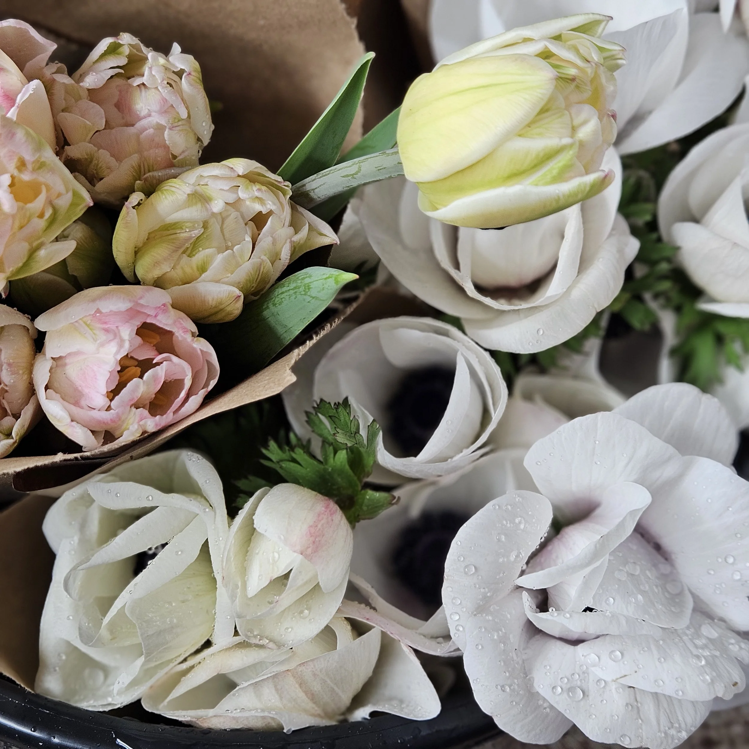 Market bunches of fresh cut spring flowers of anemones and tulips