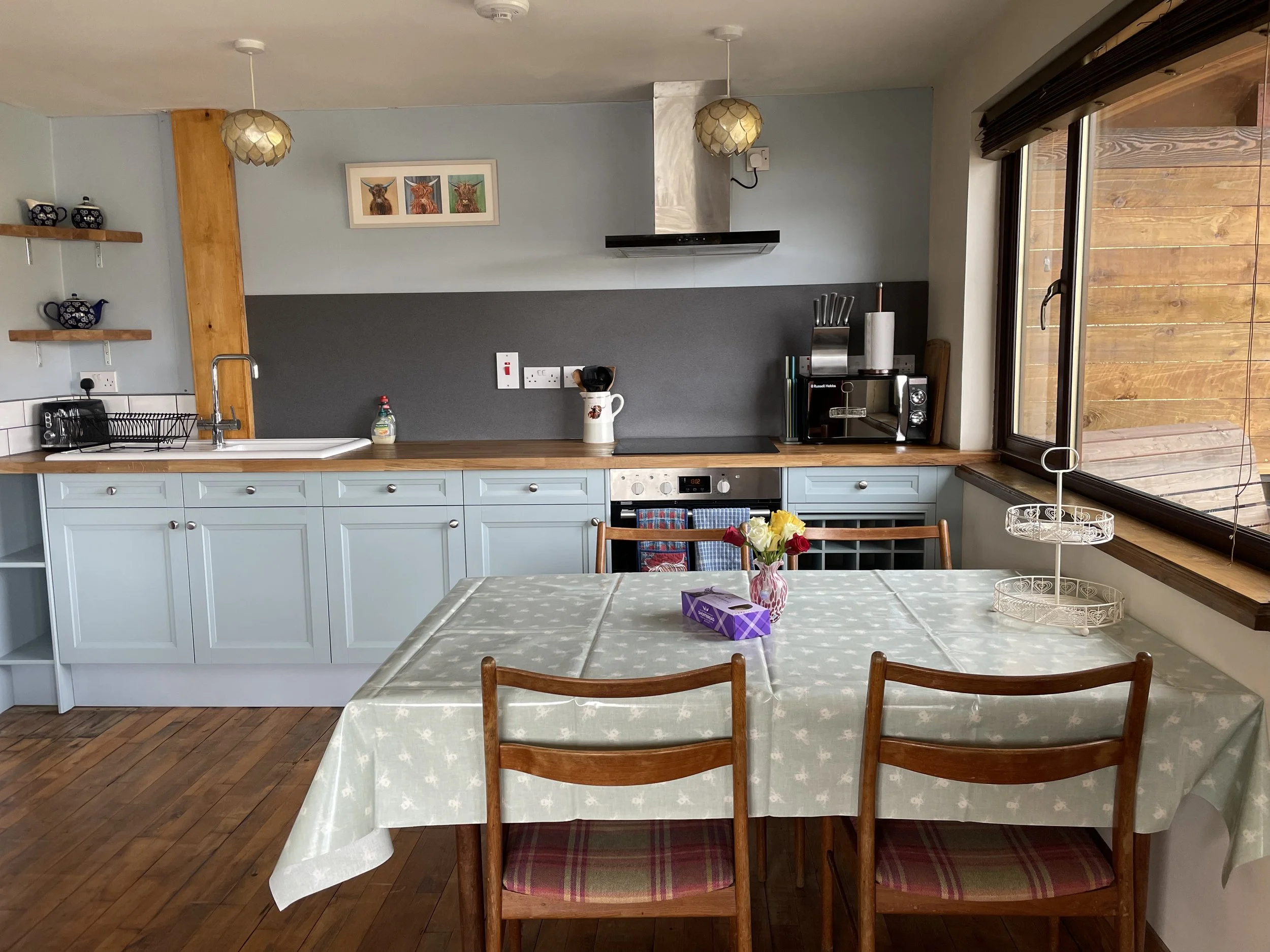 Fully equipped kitchen and dinner