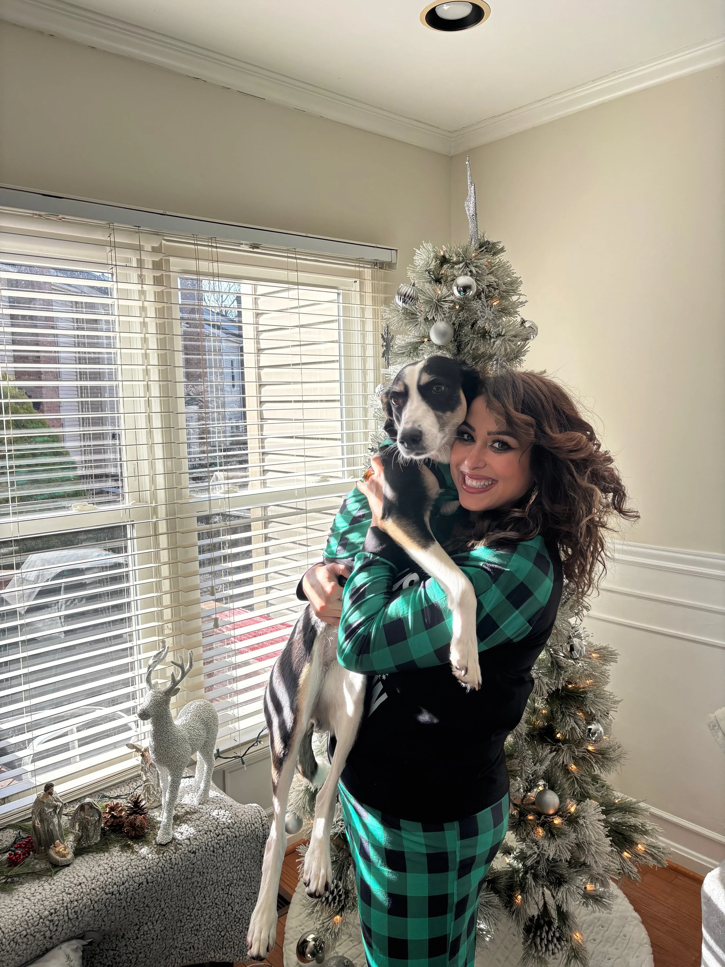 Woman in green and black plaid pajamas holding a black and white dog in front of a decorated Christmas tree in a bright living room