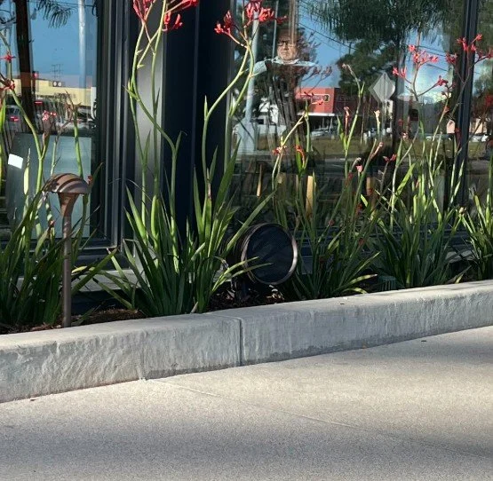 Screenshot 2026-02-05 115953.jpg