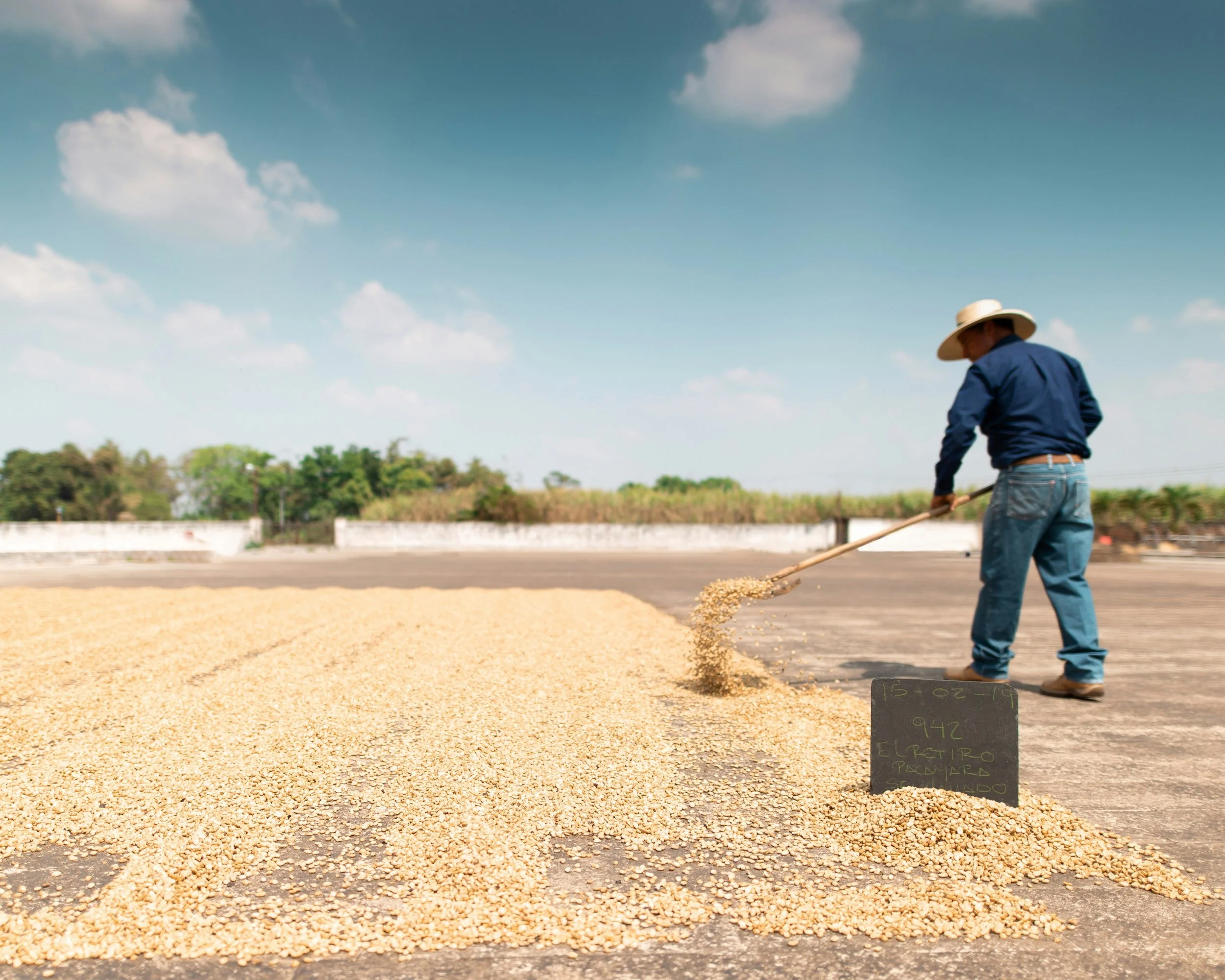 A man wearing a wide-brimmed hat, blue shirt, and jeans spreads yellow beans or grains outside on a sunny day, with a small blackboard sign in front of him.