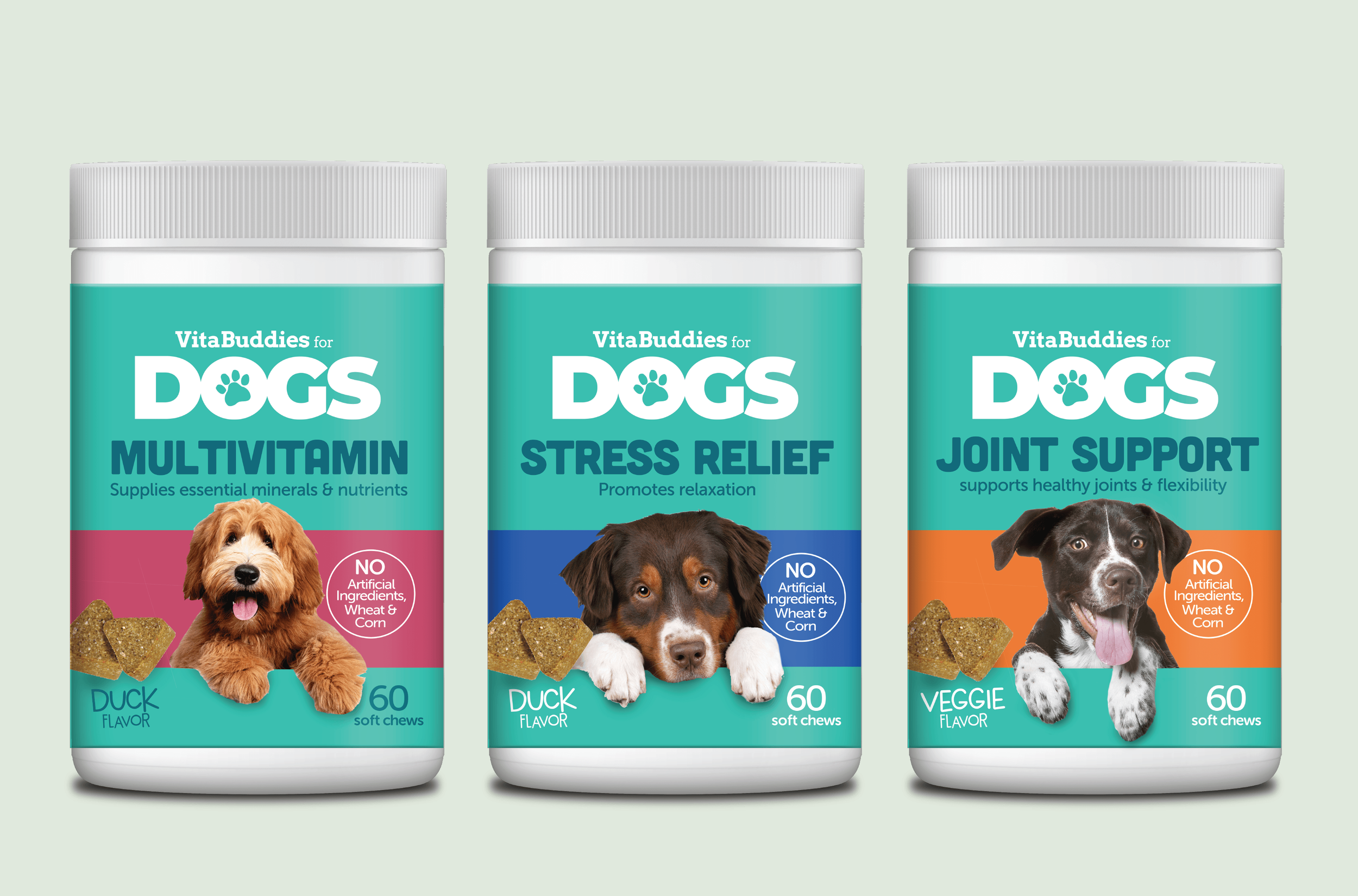Bold and playful package design concept for dog vitamins